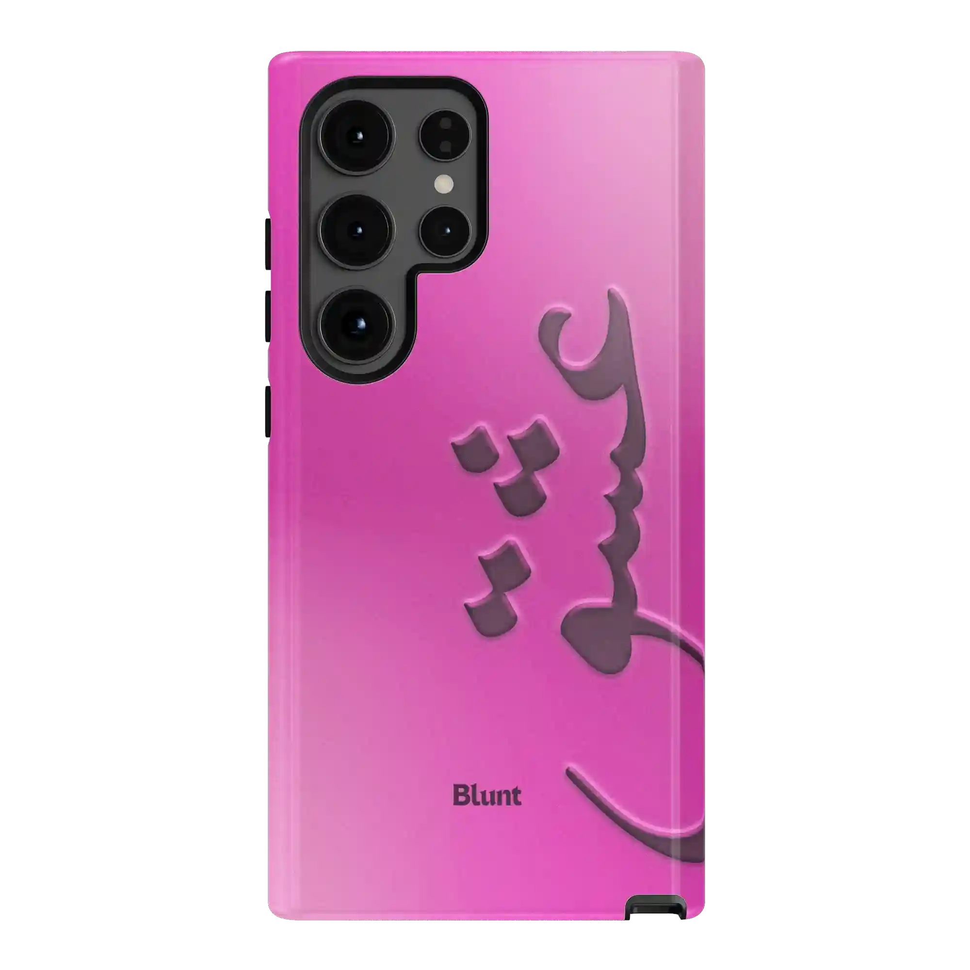 bluntcasesus.it.com