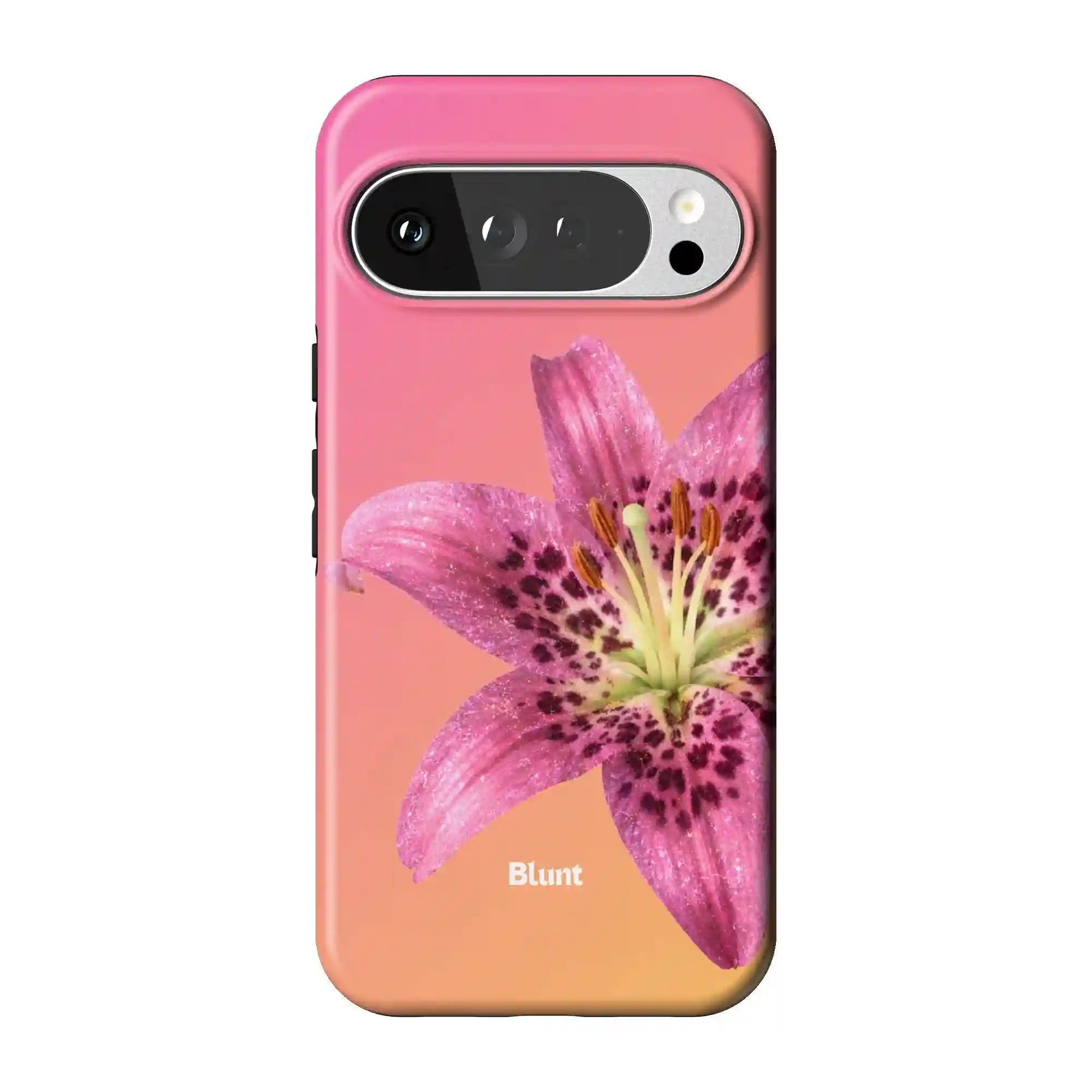 bluntcasesus.it.com