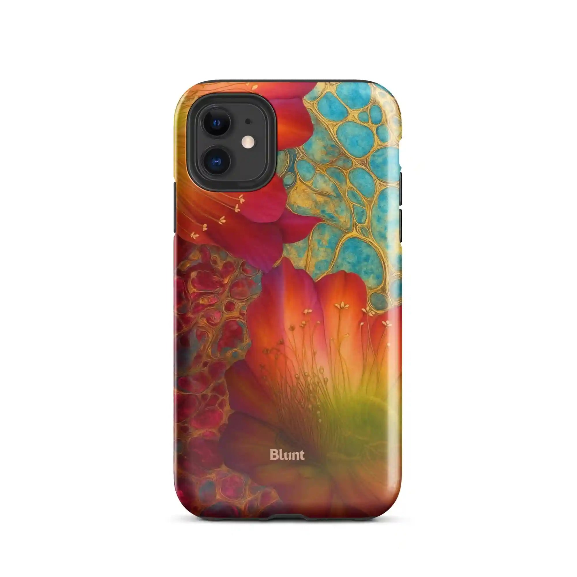 bluntcasesus.it.com