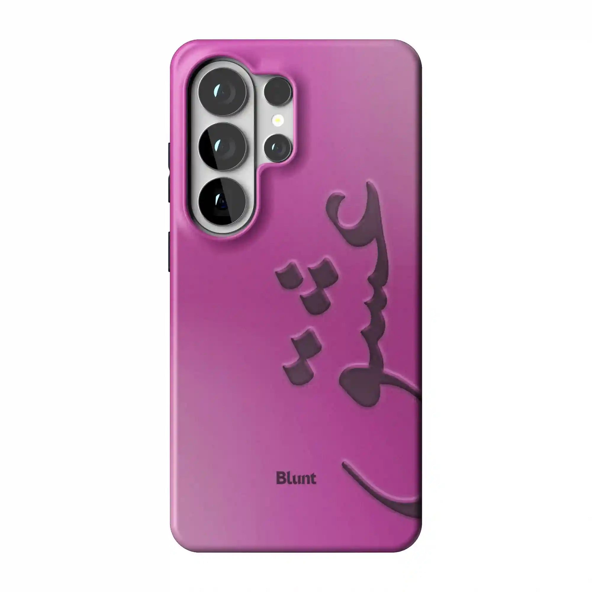 bluntcasesus.it.com