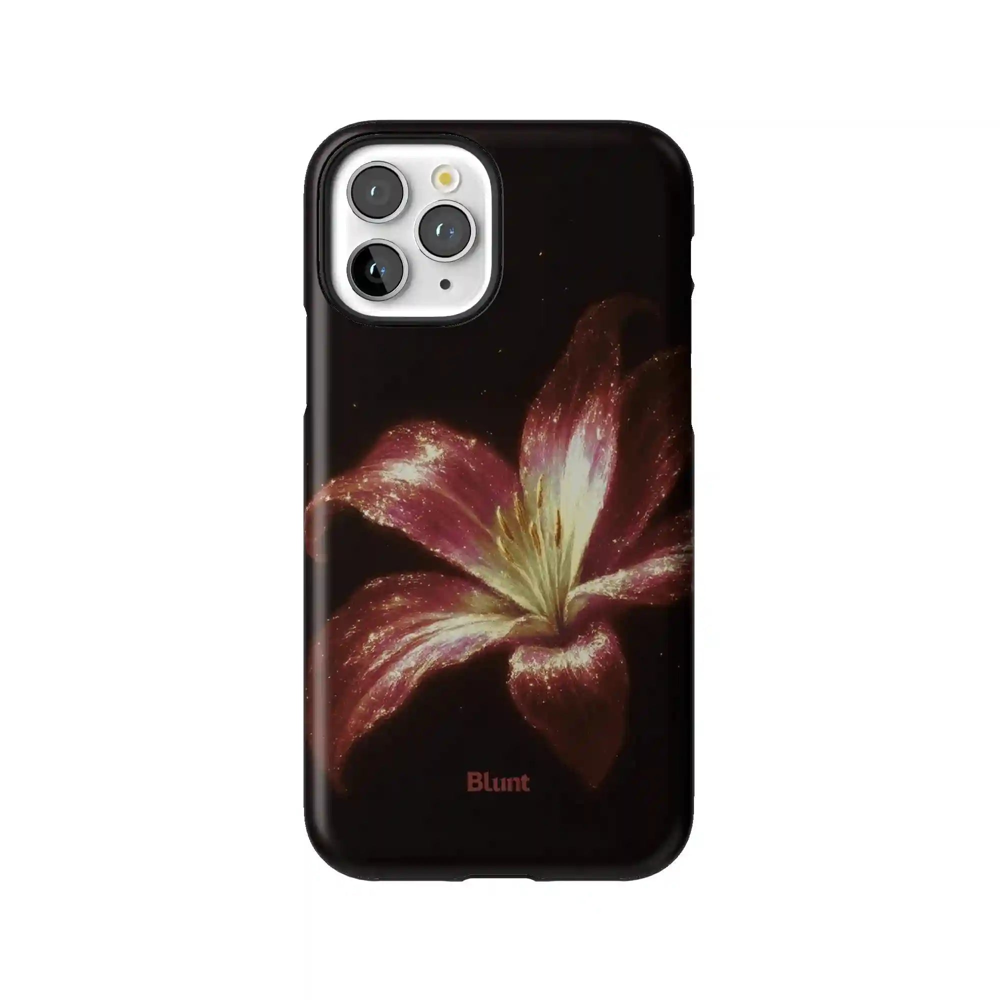 bluntcasesus.it.com