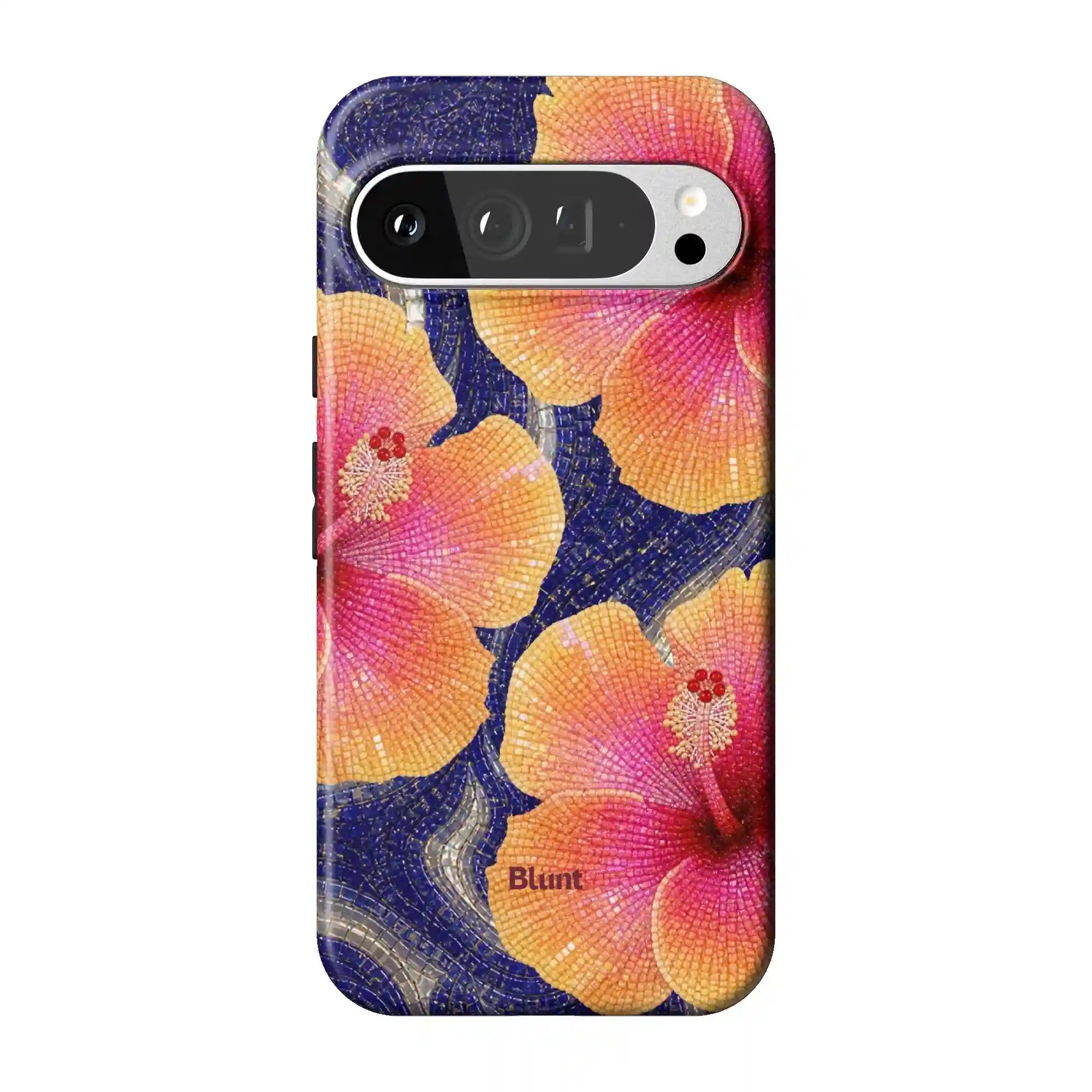bluntcasesus.it.com
