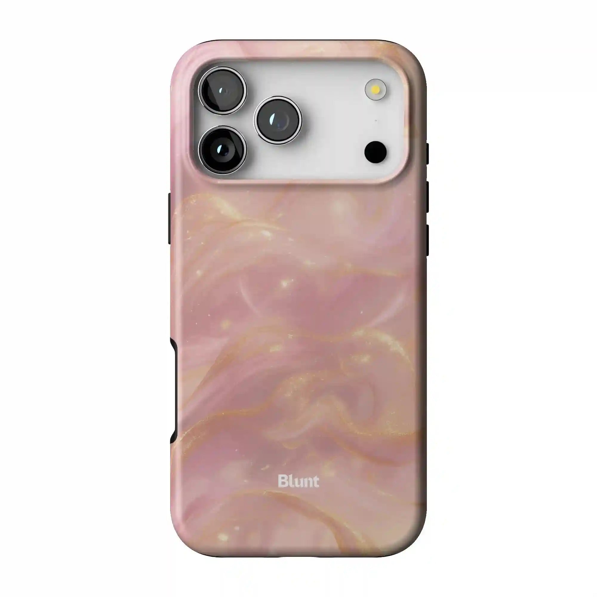 bluntcasesus.it.com