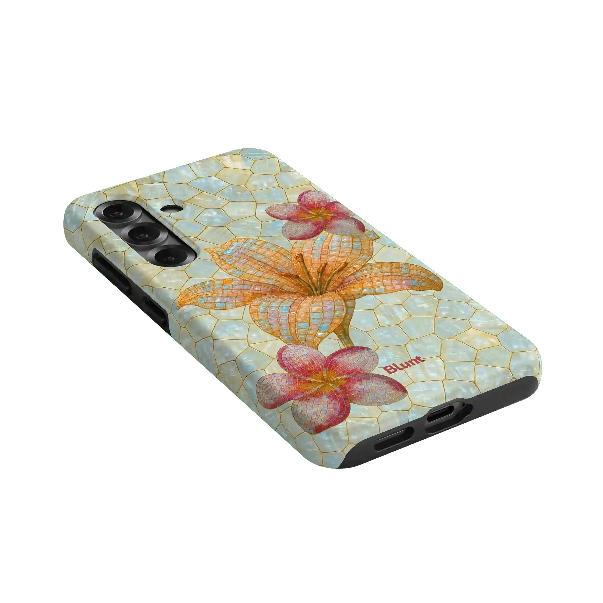 bluntcasesus.it.com