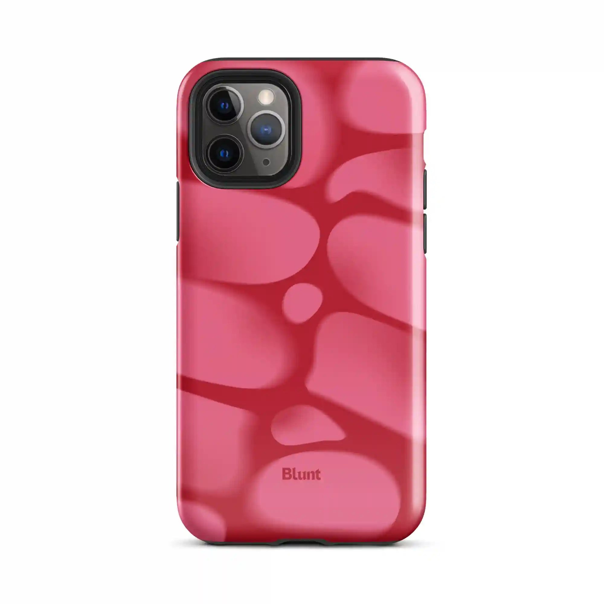 bluntcasesus.it.com
