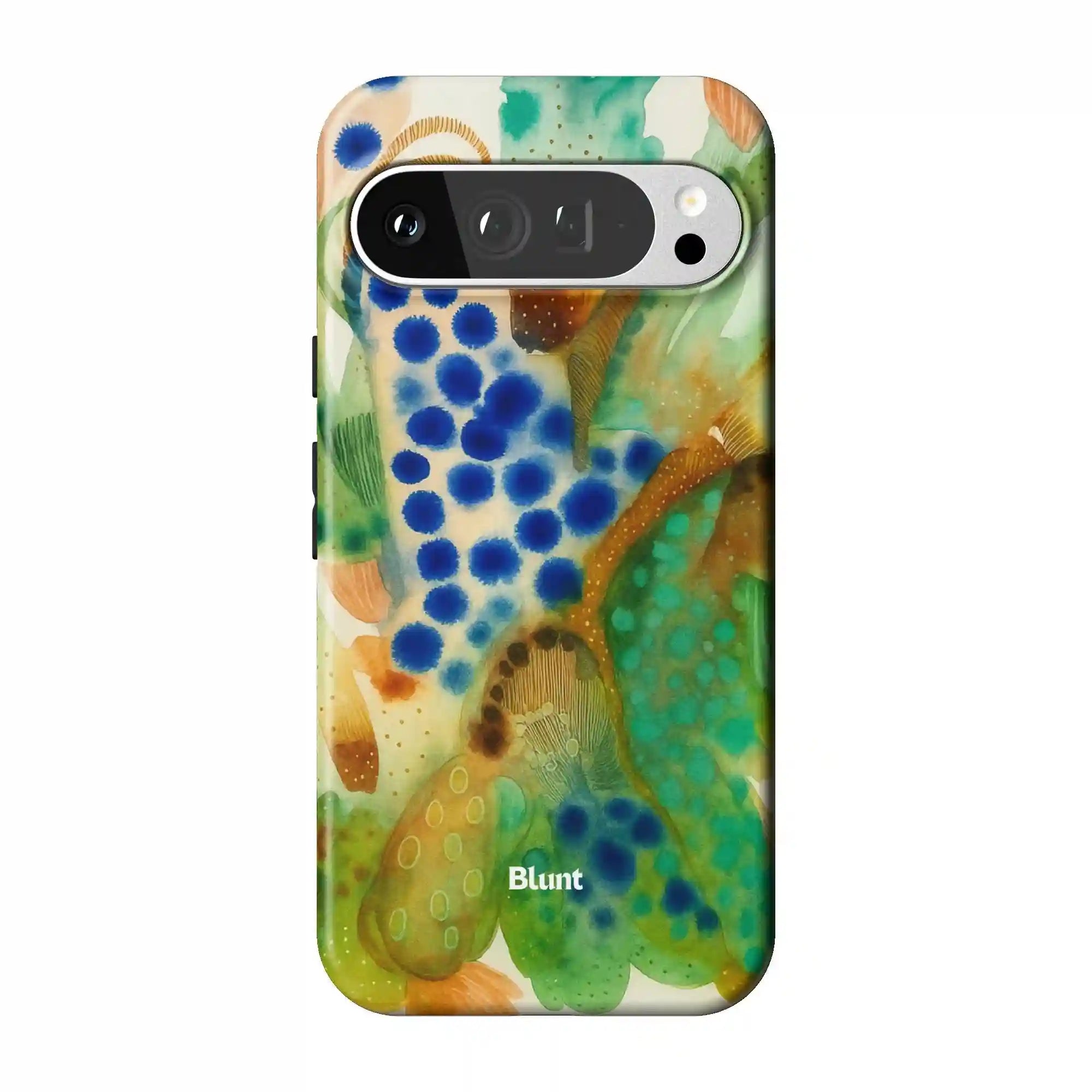 bluntcasesus.it.com