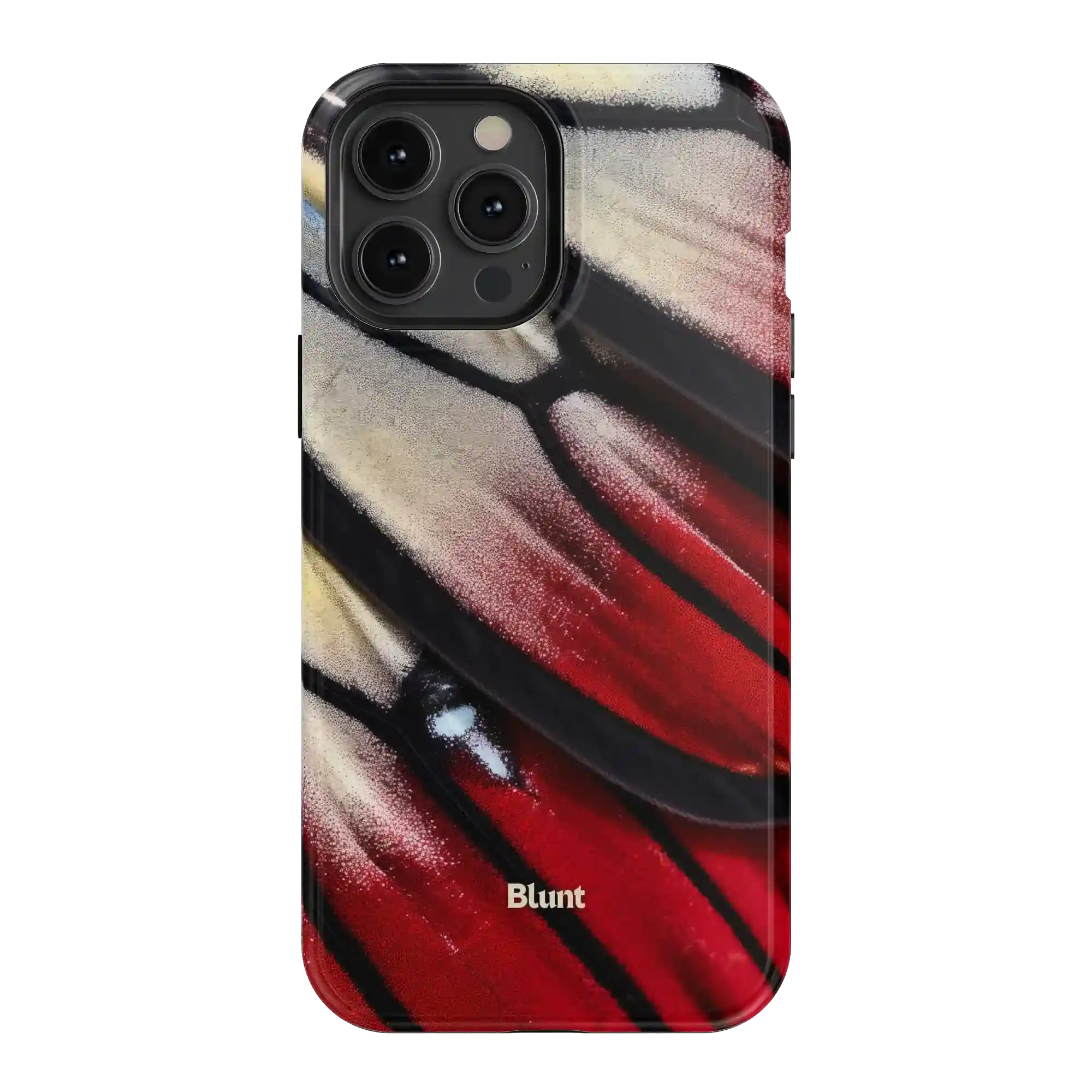 bluntcasesus.it.com