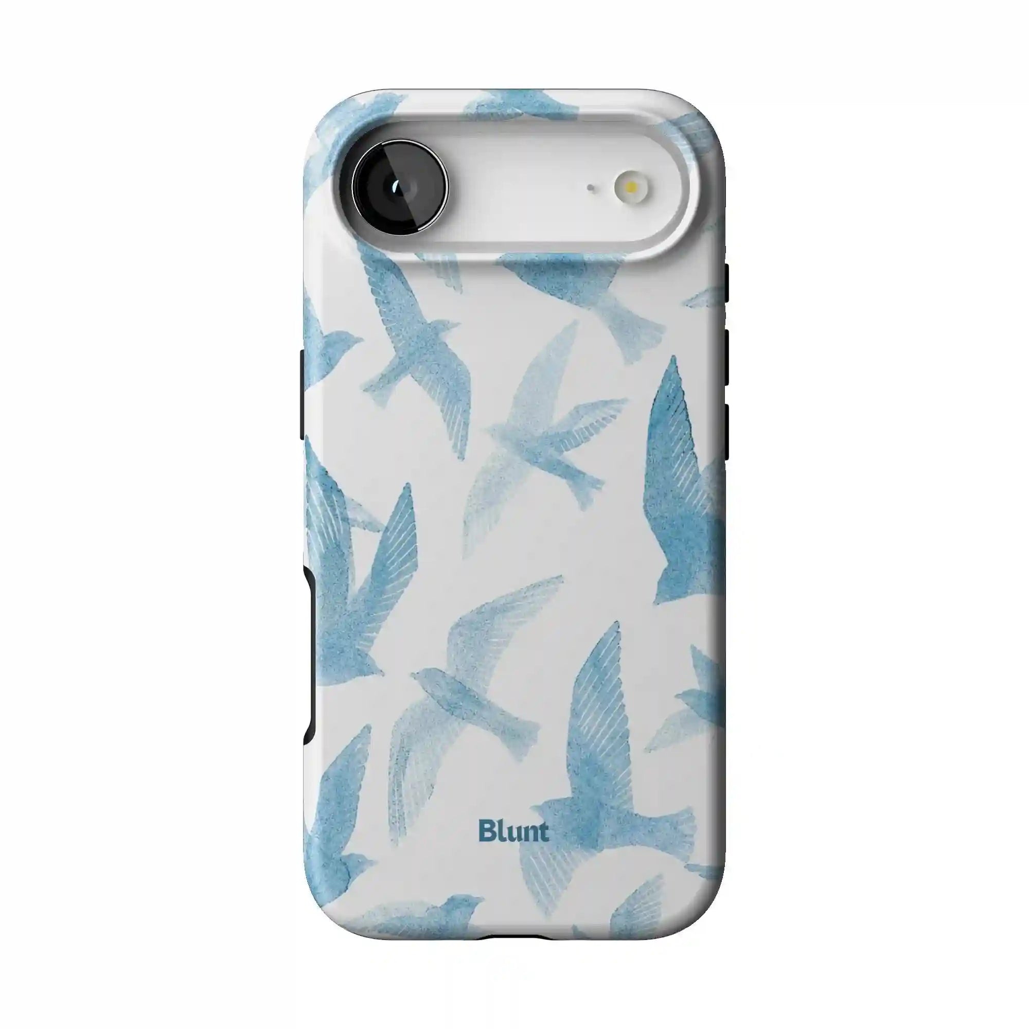 bluntcasesus.it.com
