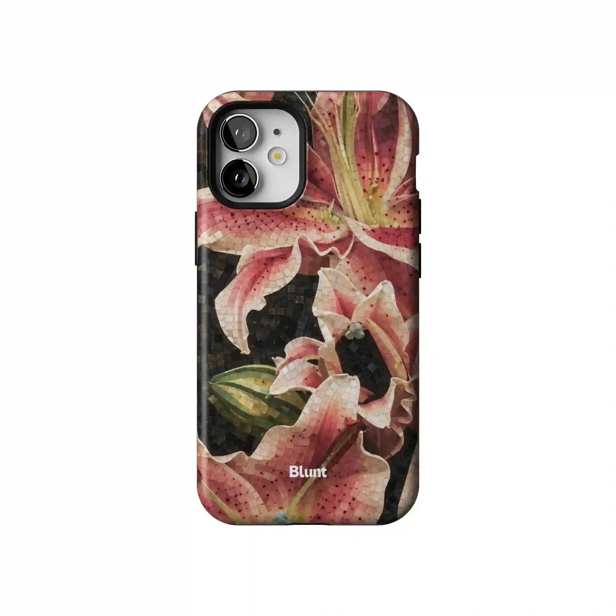 bluntcasesus.it.com