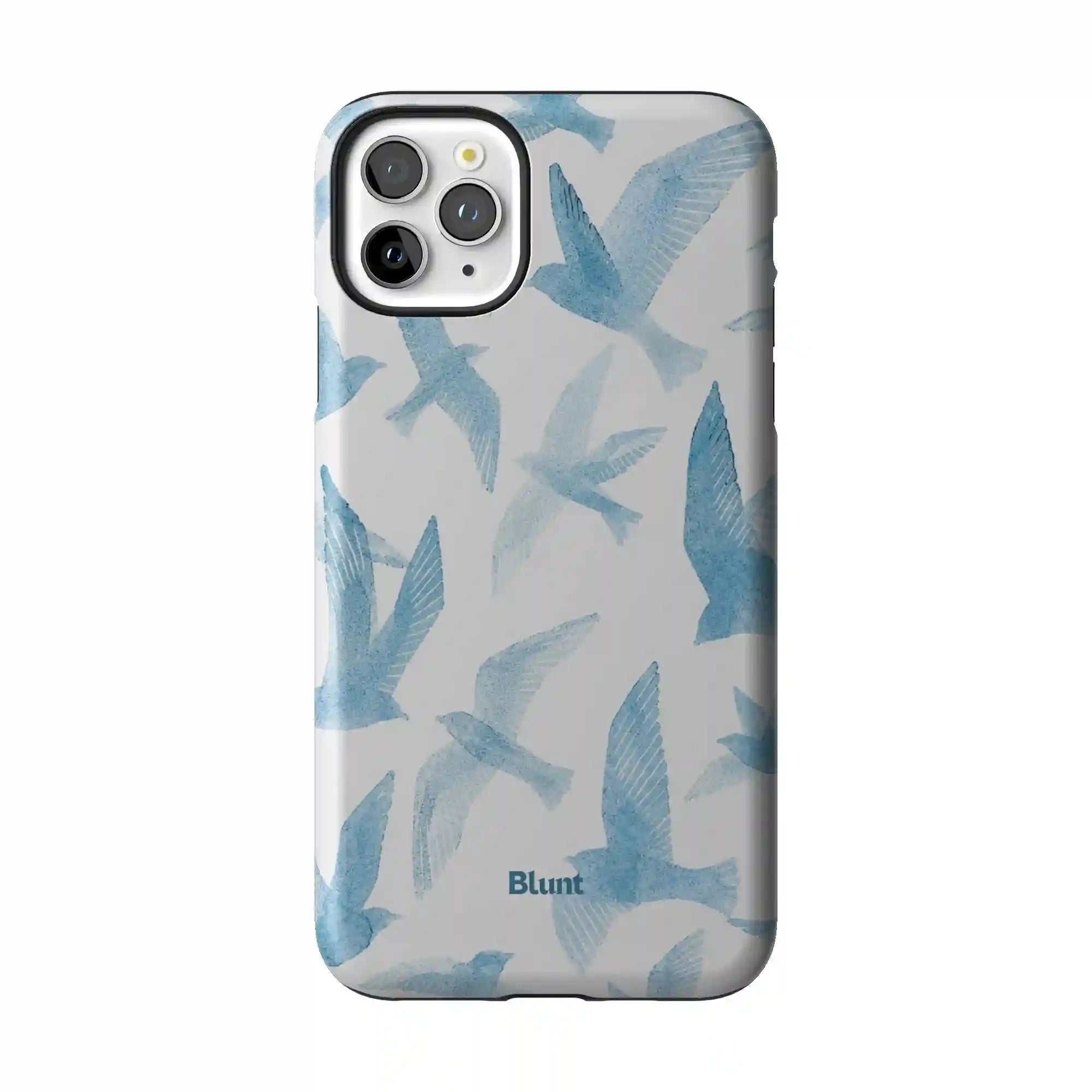 bluntcasesus.it.com