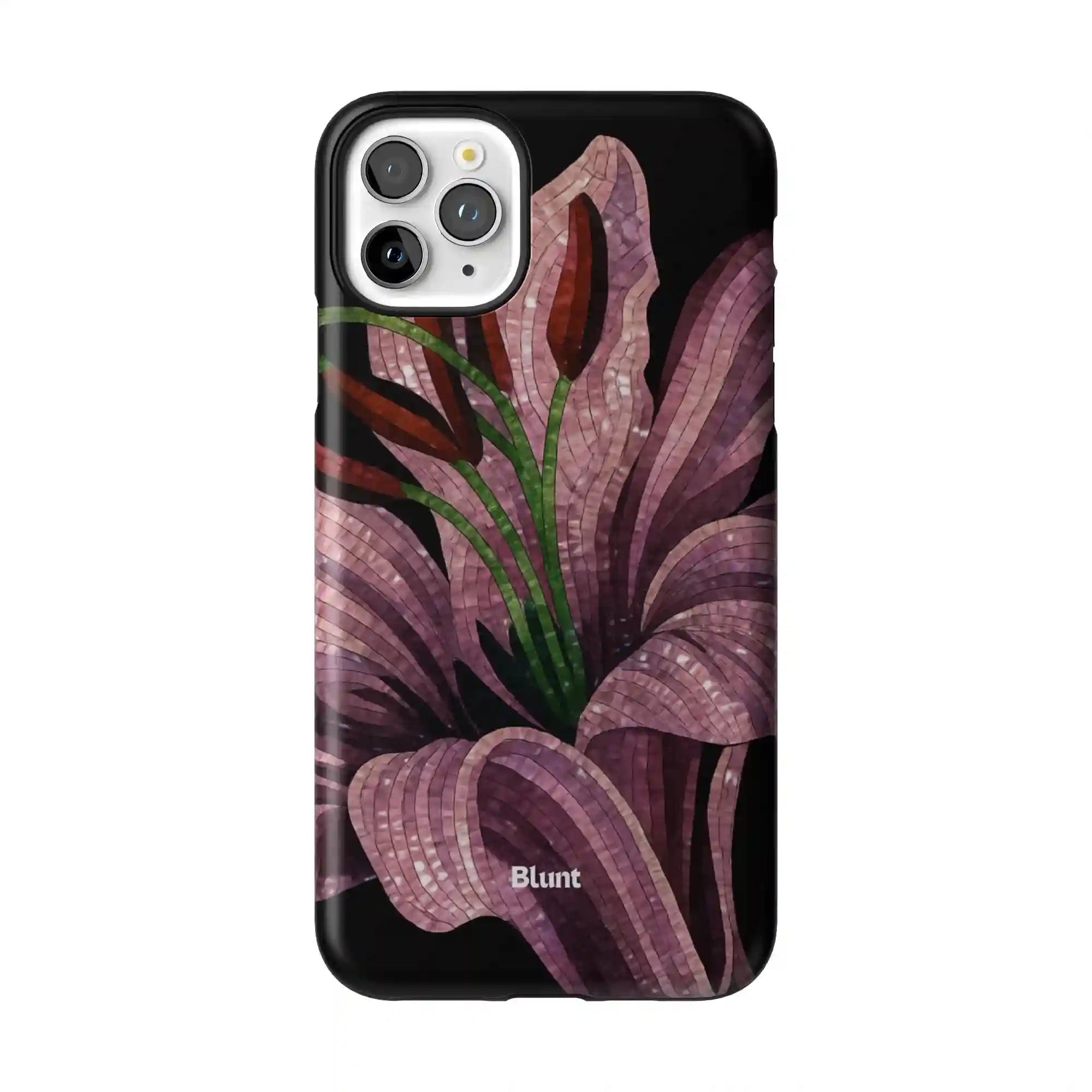 bluntcasesus.it.com