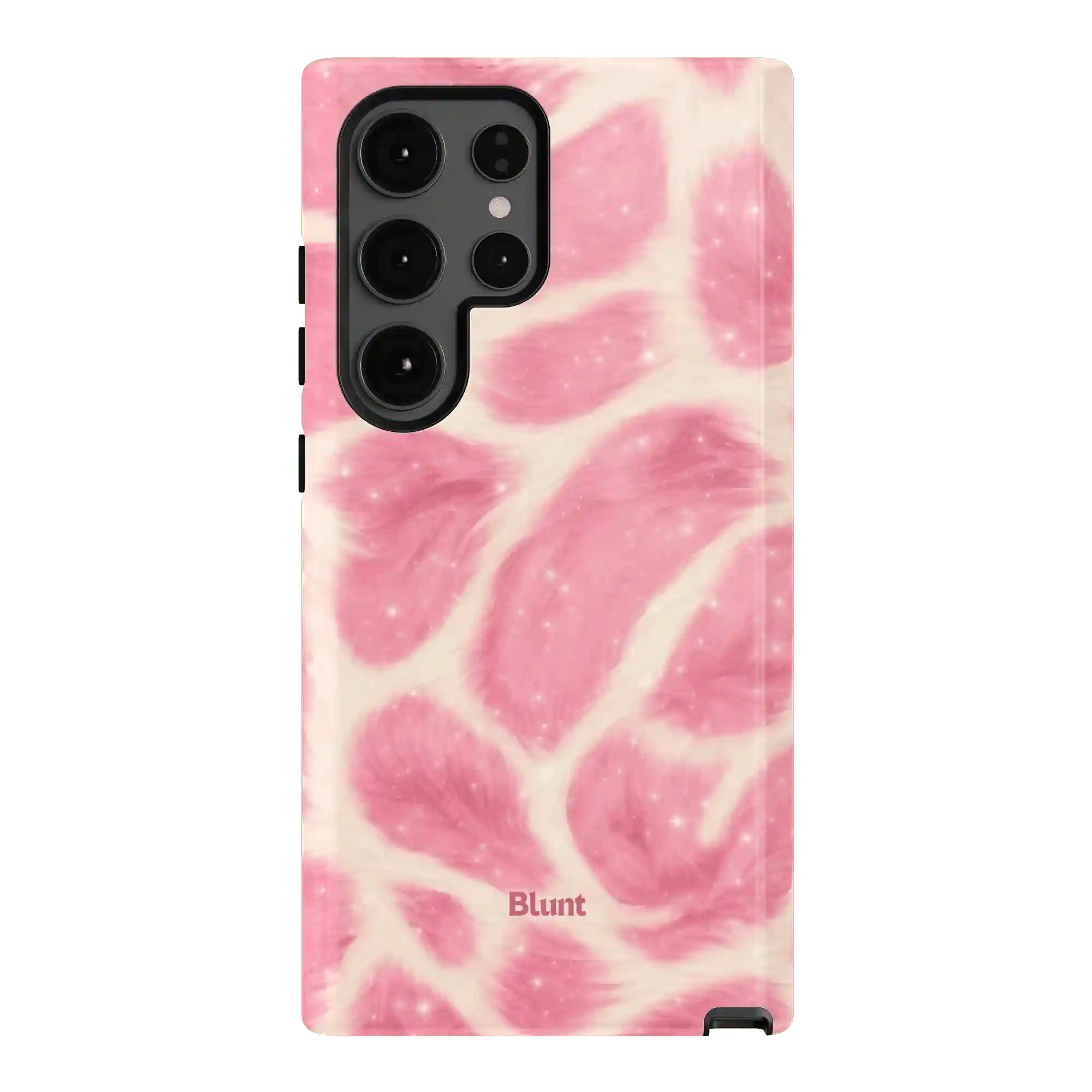 bluntcasesus.it.com