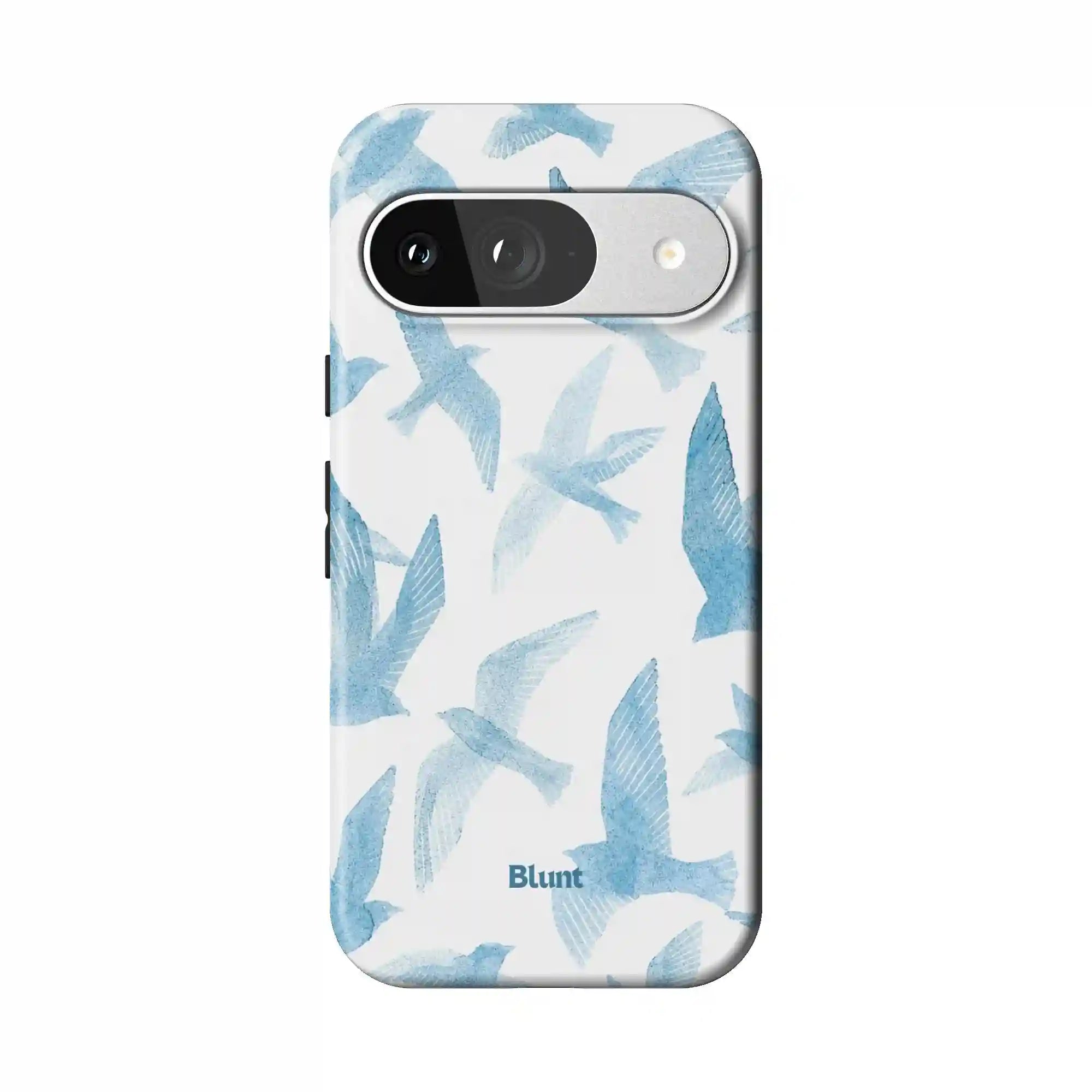 bluntcasesus.it.com