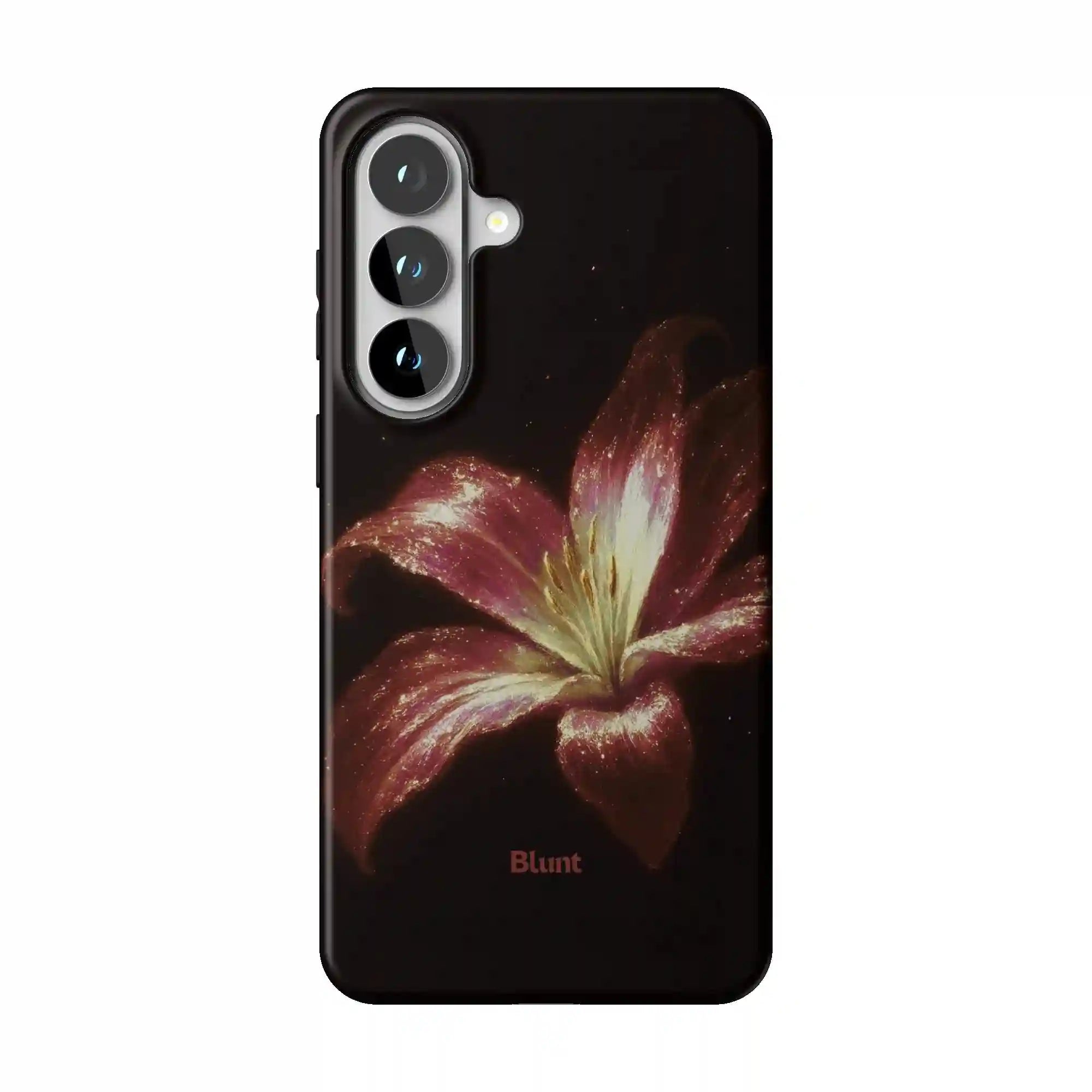 bluntcasesus.it.com