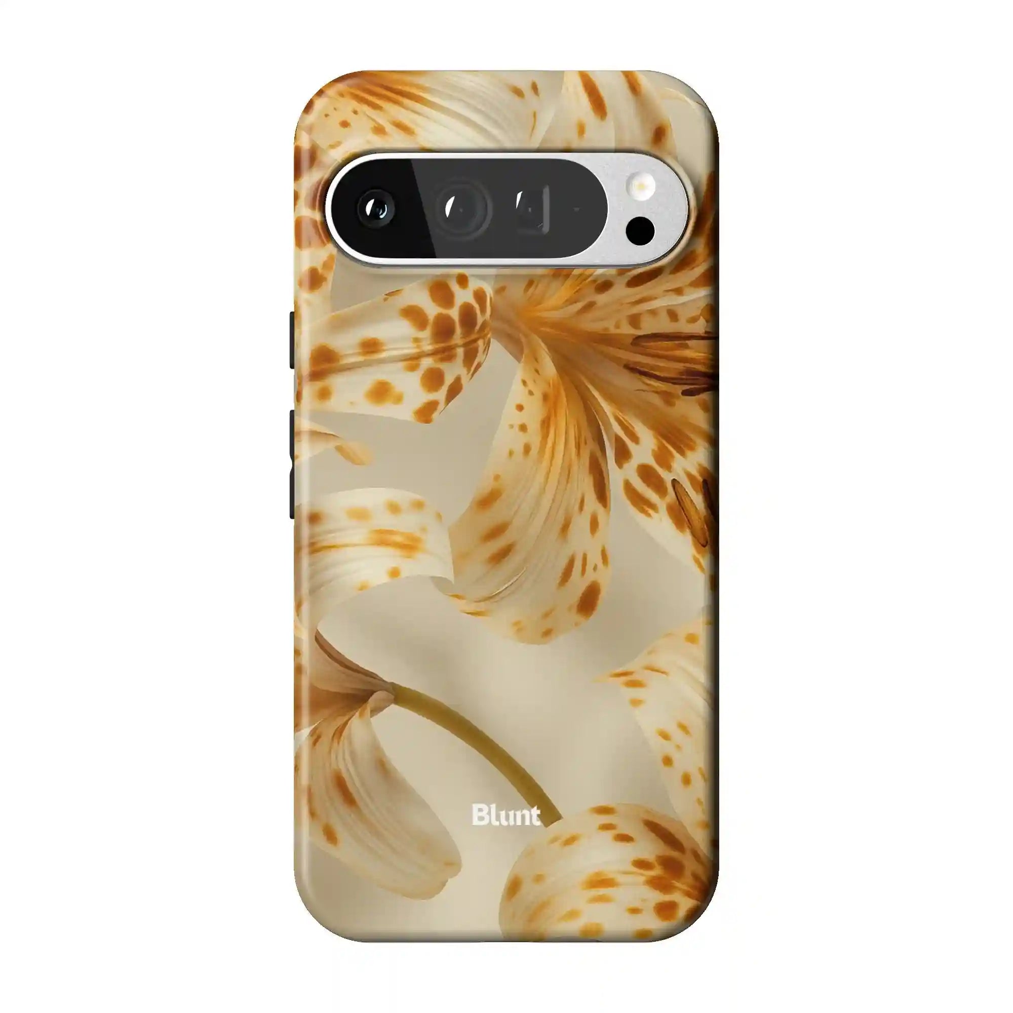 bluntcasesus.it.com