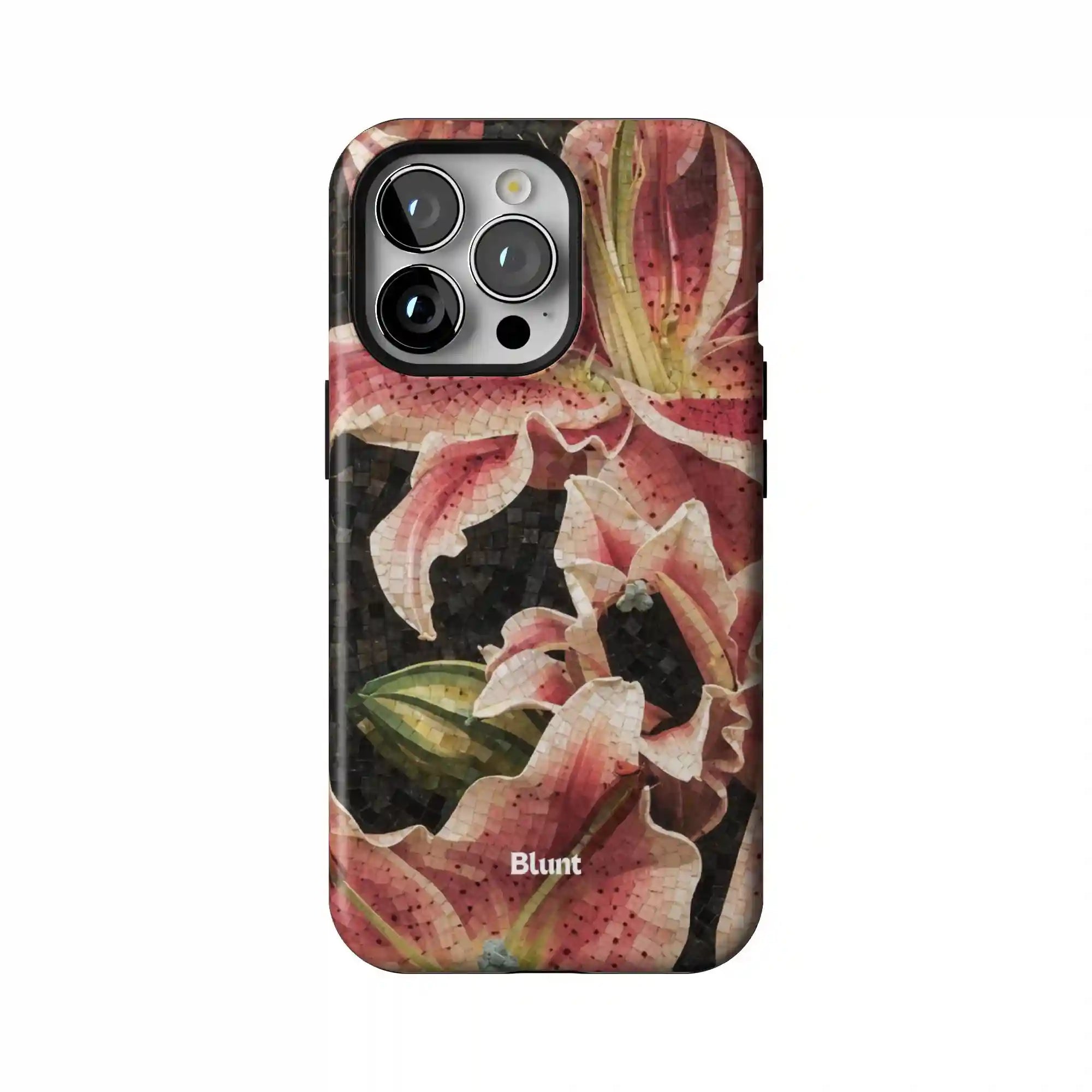 bluntcasesus.it.com