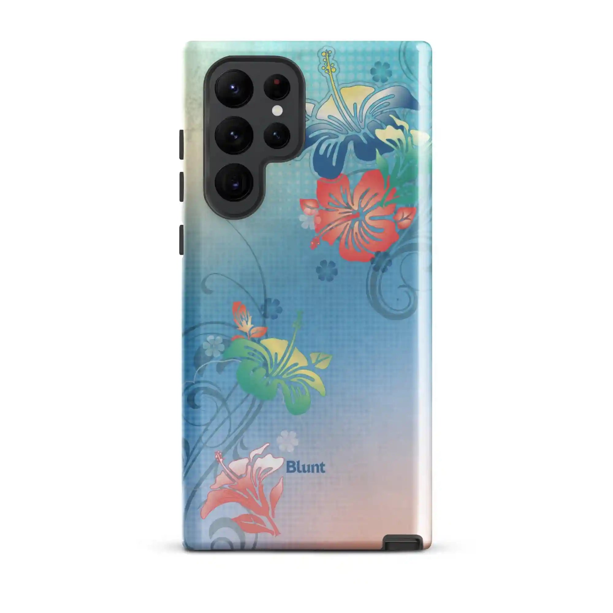 bluntcasesus.it.com