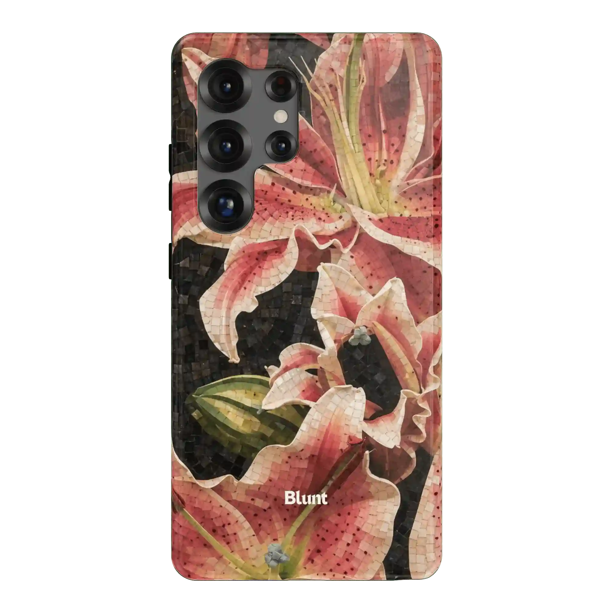 bluntcasesus.it.com