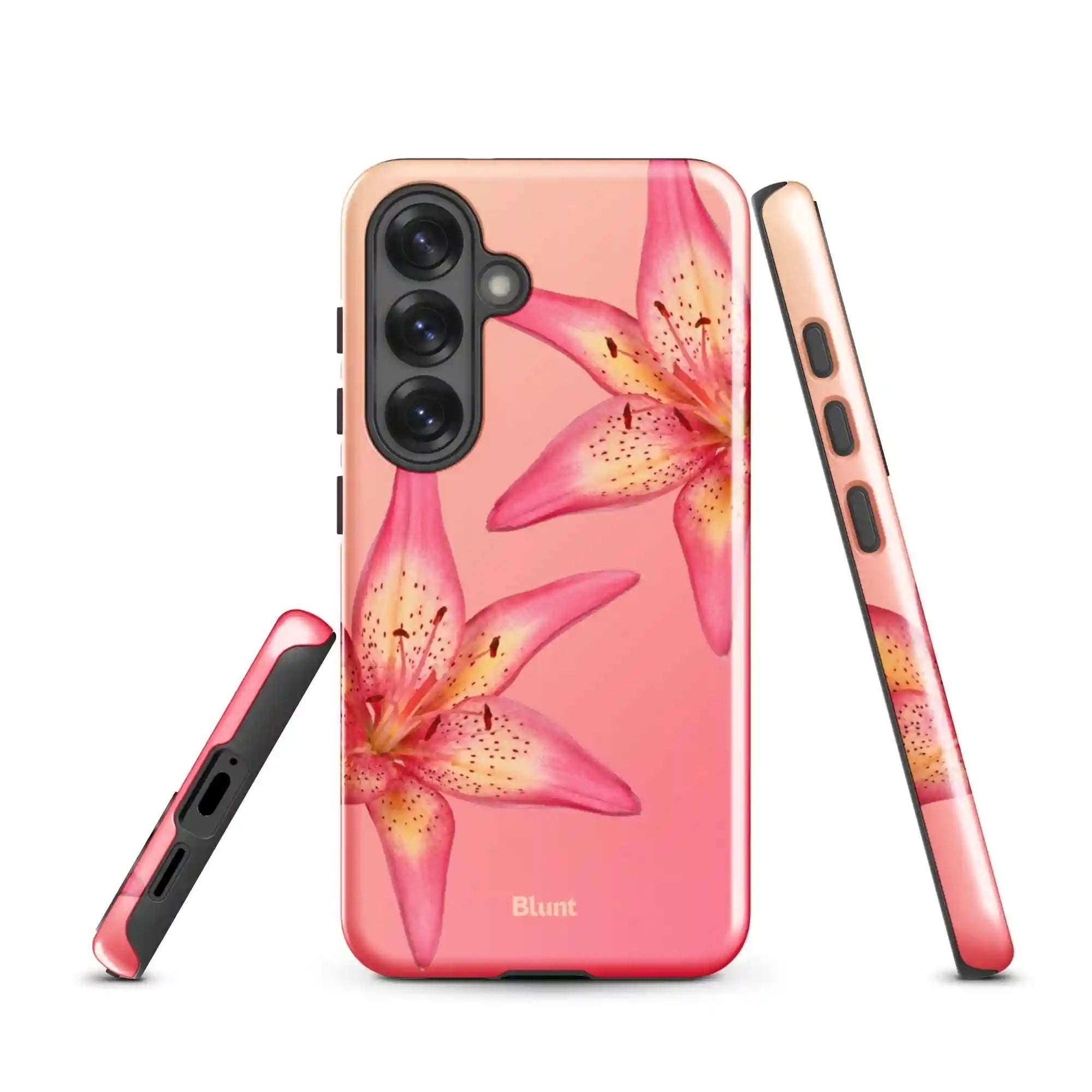 bluntcasesus.it.com