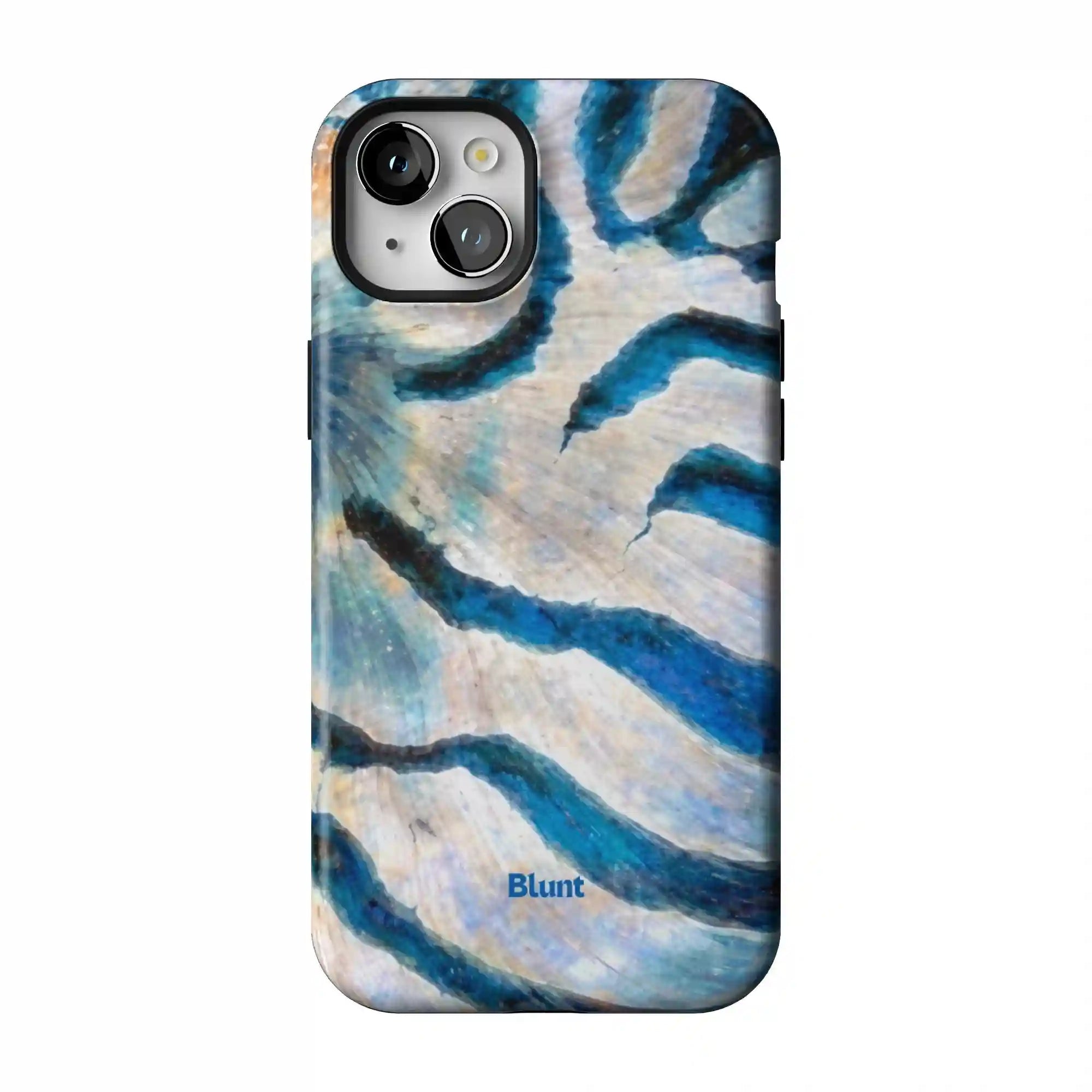 bluntcasesus.it.com