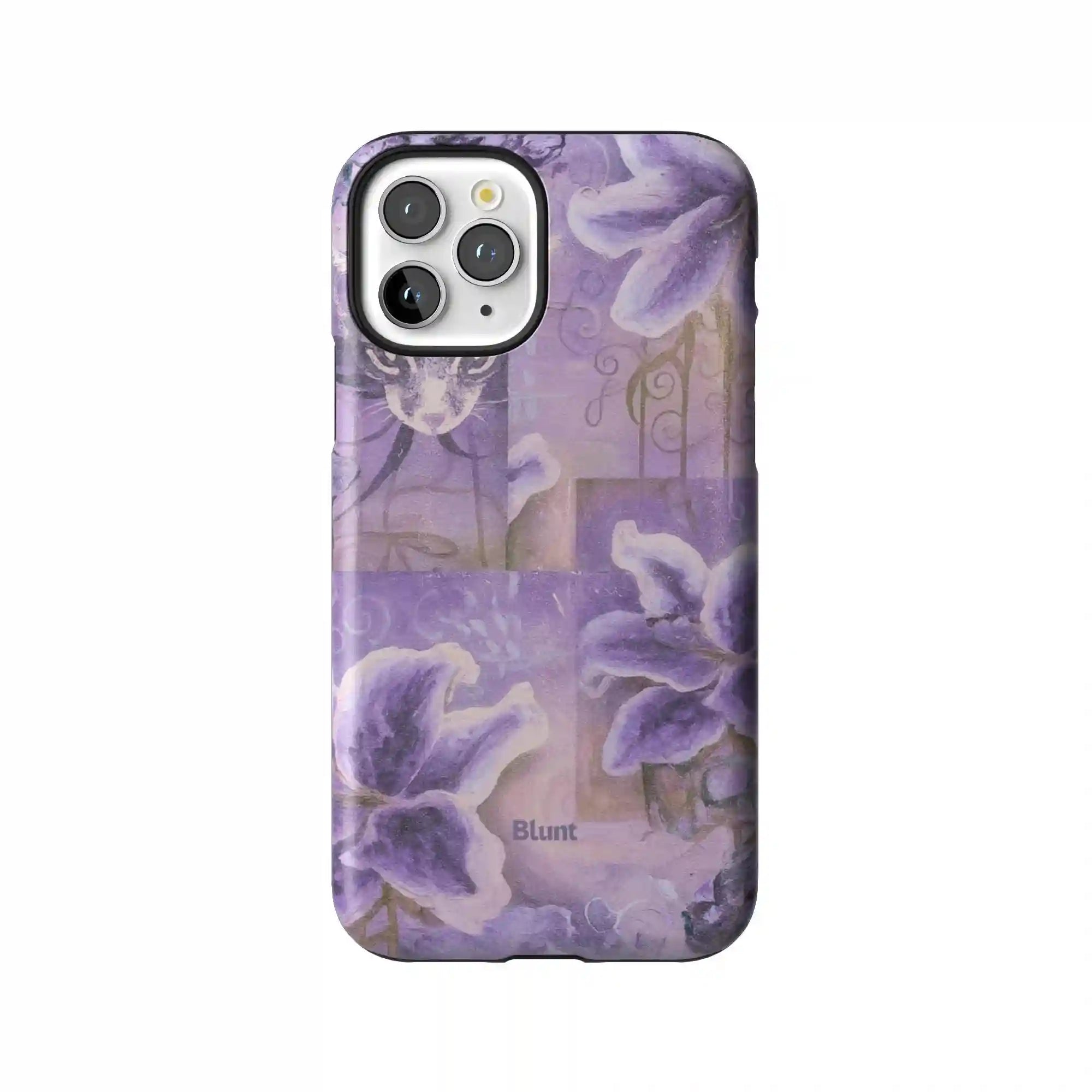 bluntcasesus.it.com