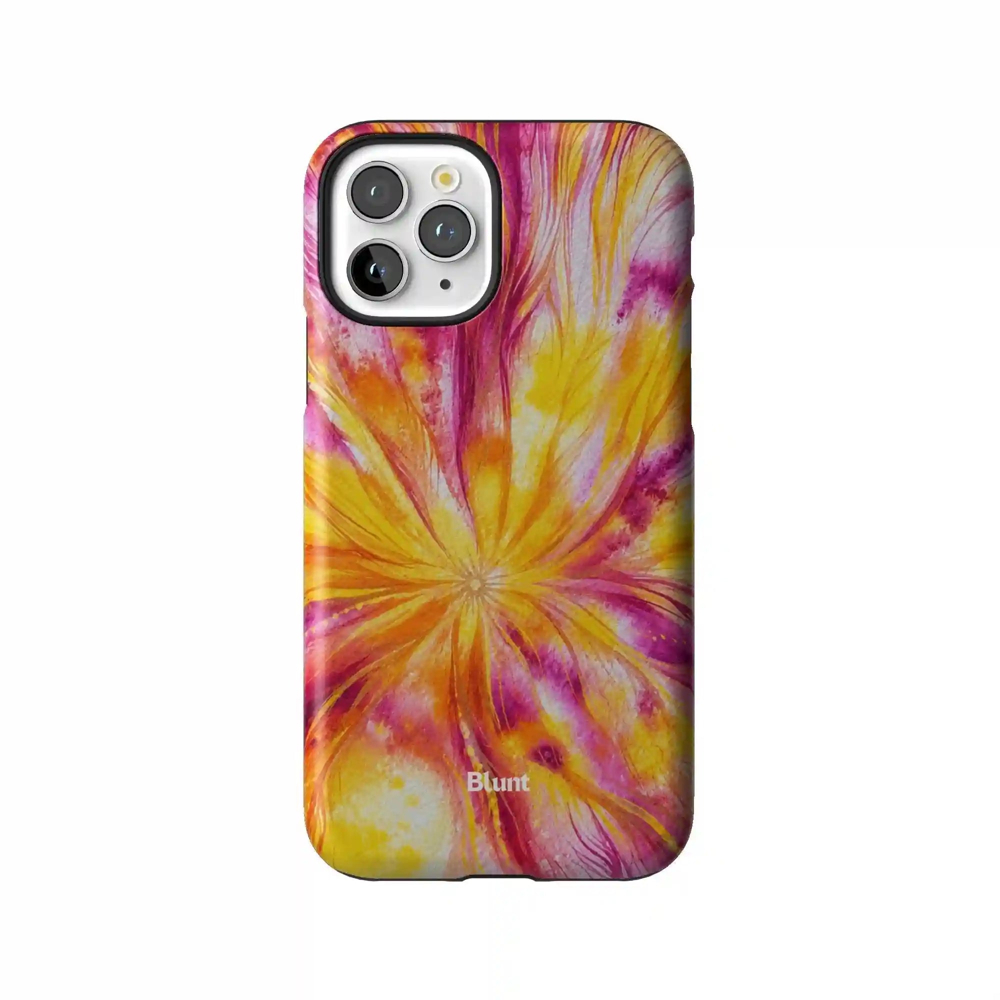 bluntcasesus.it.com