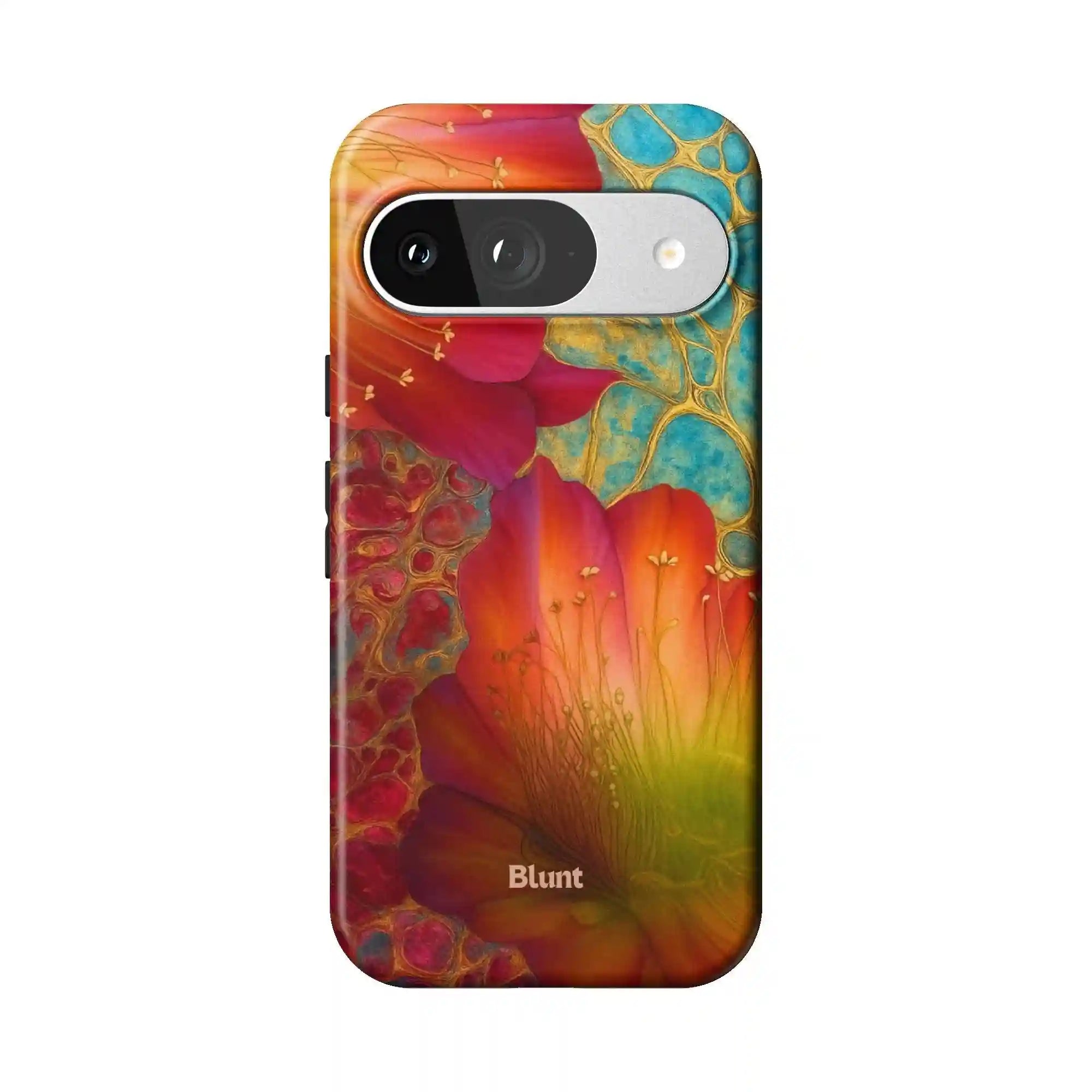 bluntcasesus.it.com