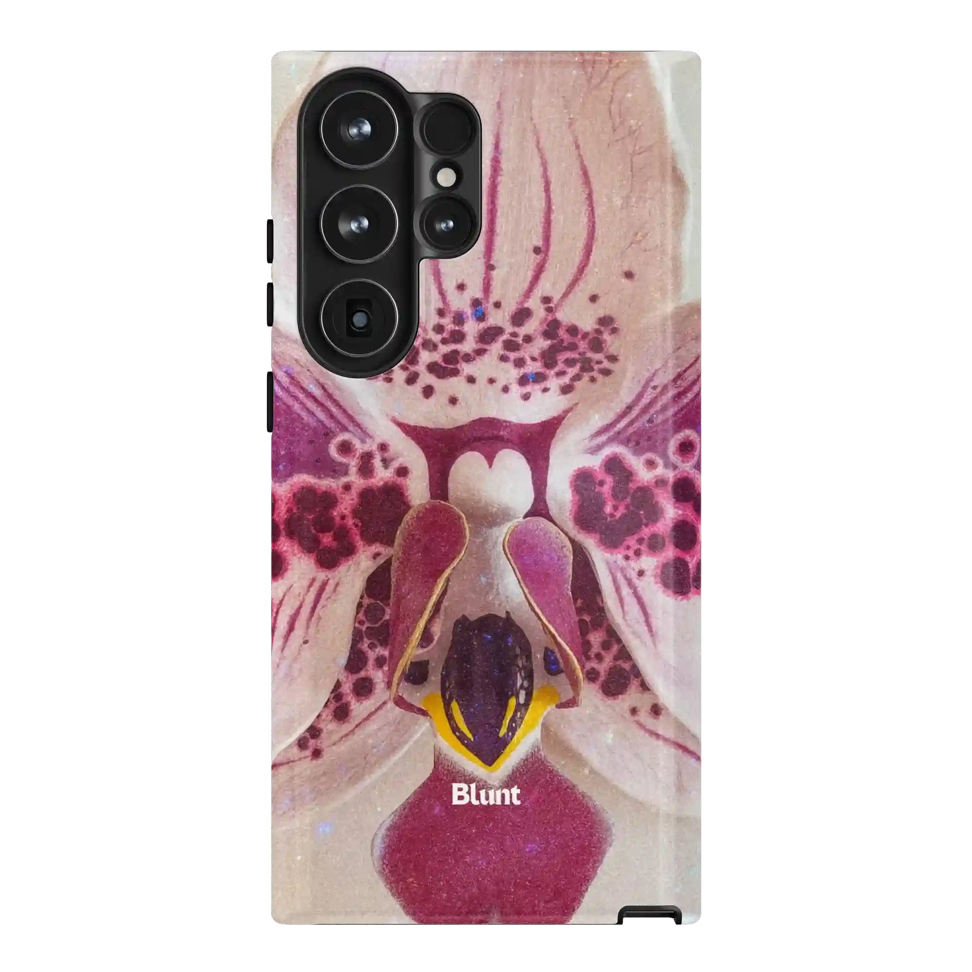 bluntcasesus.it.com