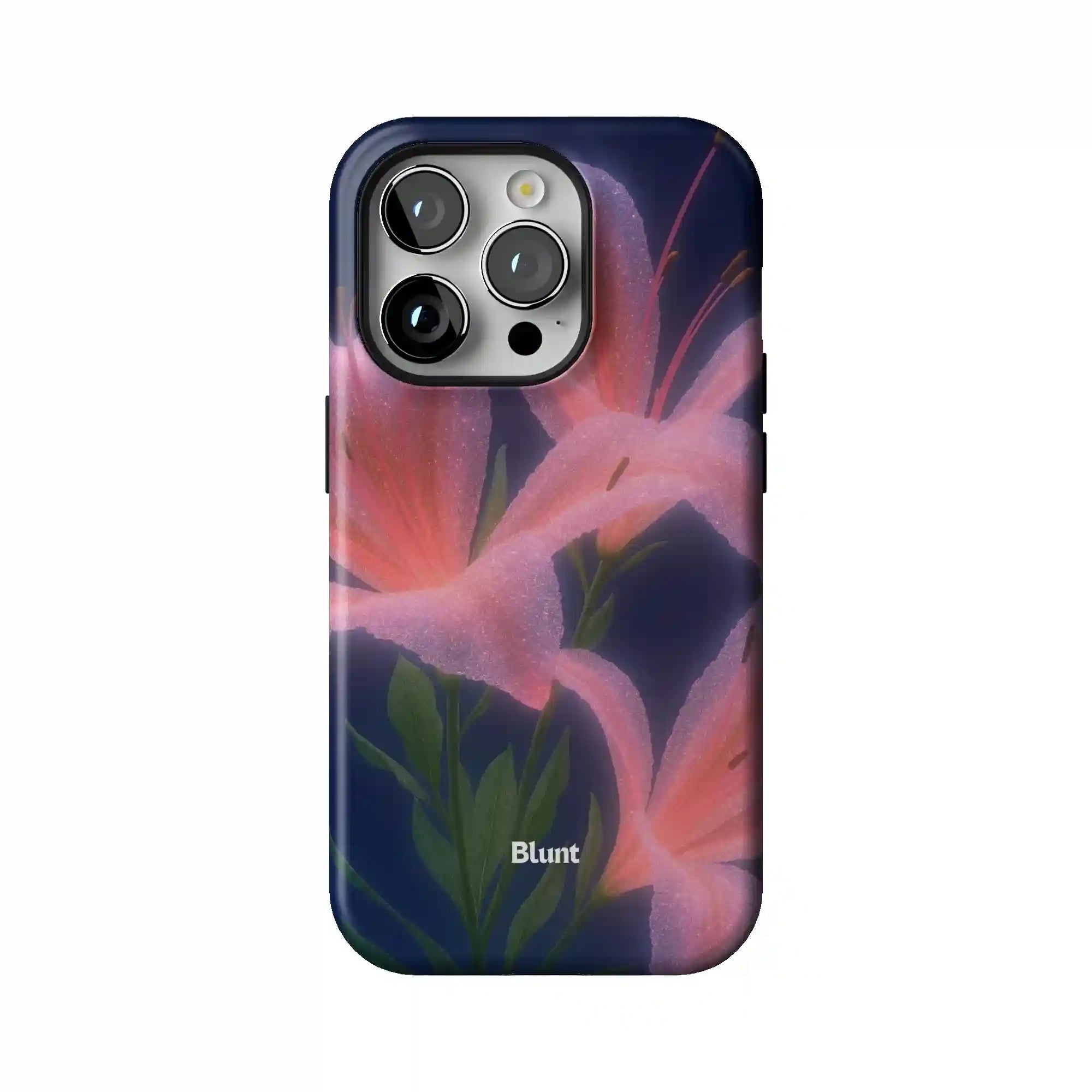 bluntcasesus.it.com