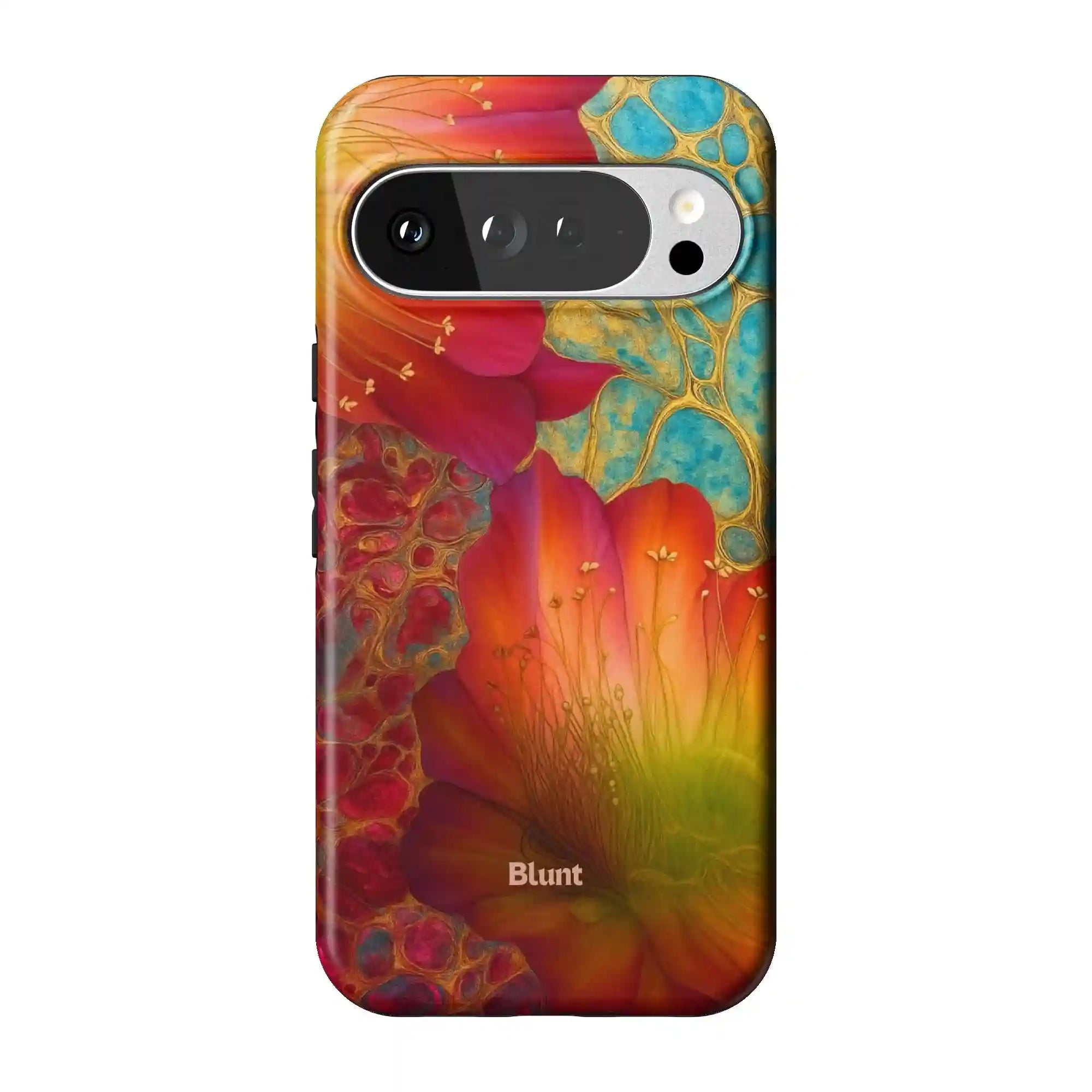 bluntcasesus.it.com