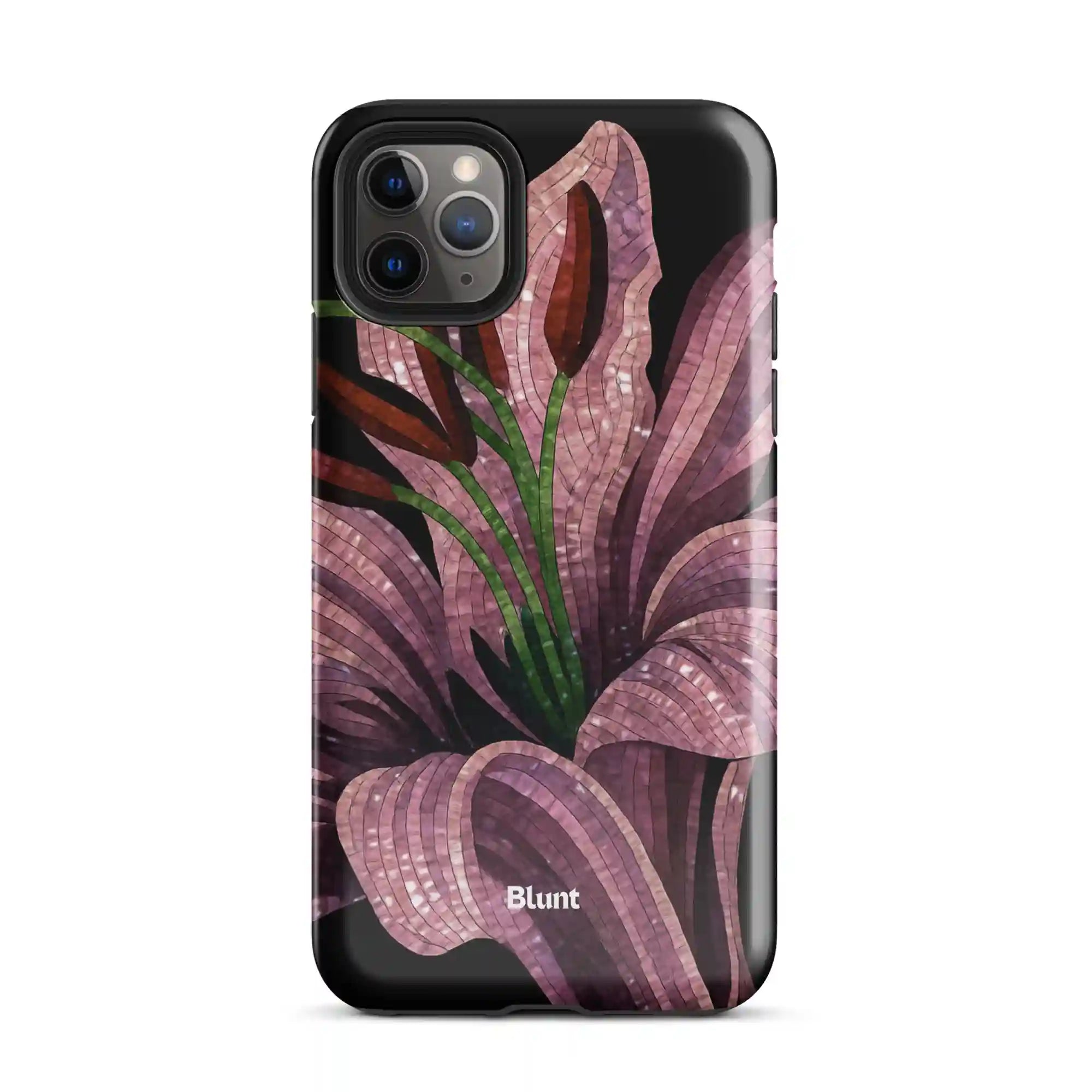 bluntcasesus.it.com