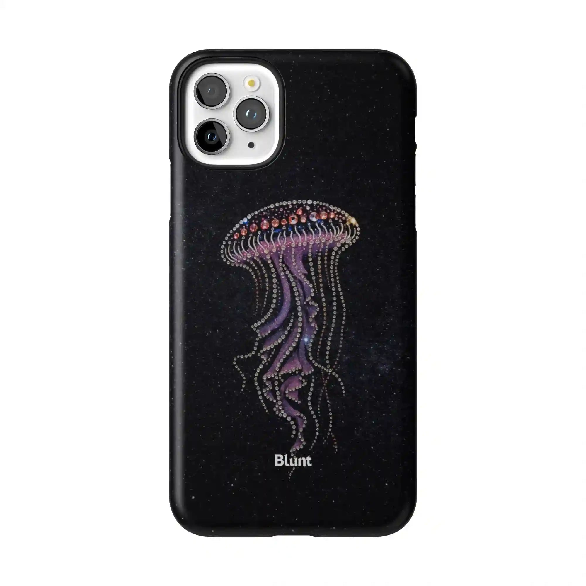 bluntcasesus.it.com