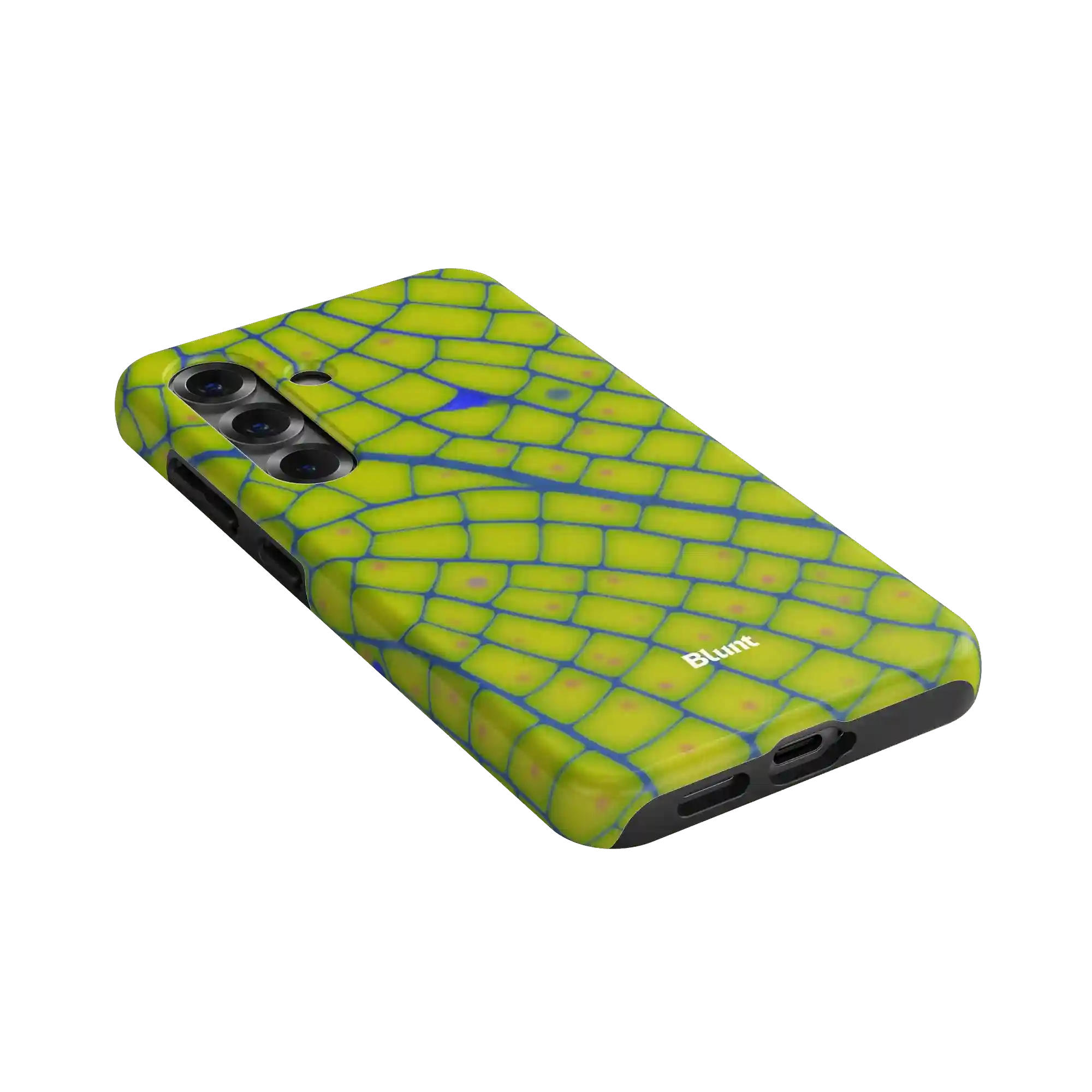 bluntcasesus.it.com