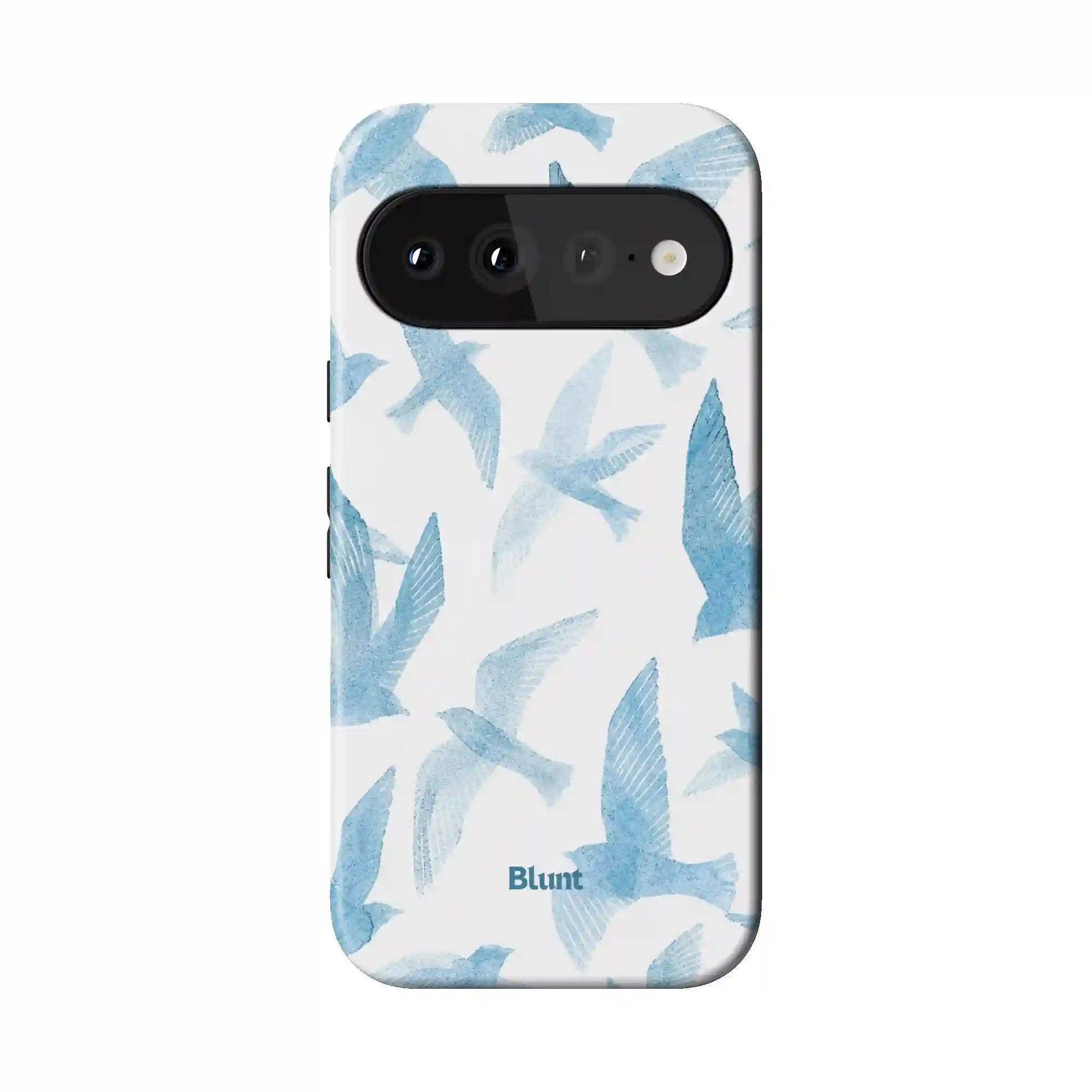 bluntcasesus.it.com