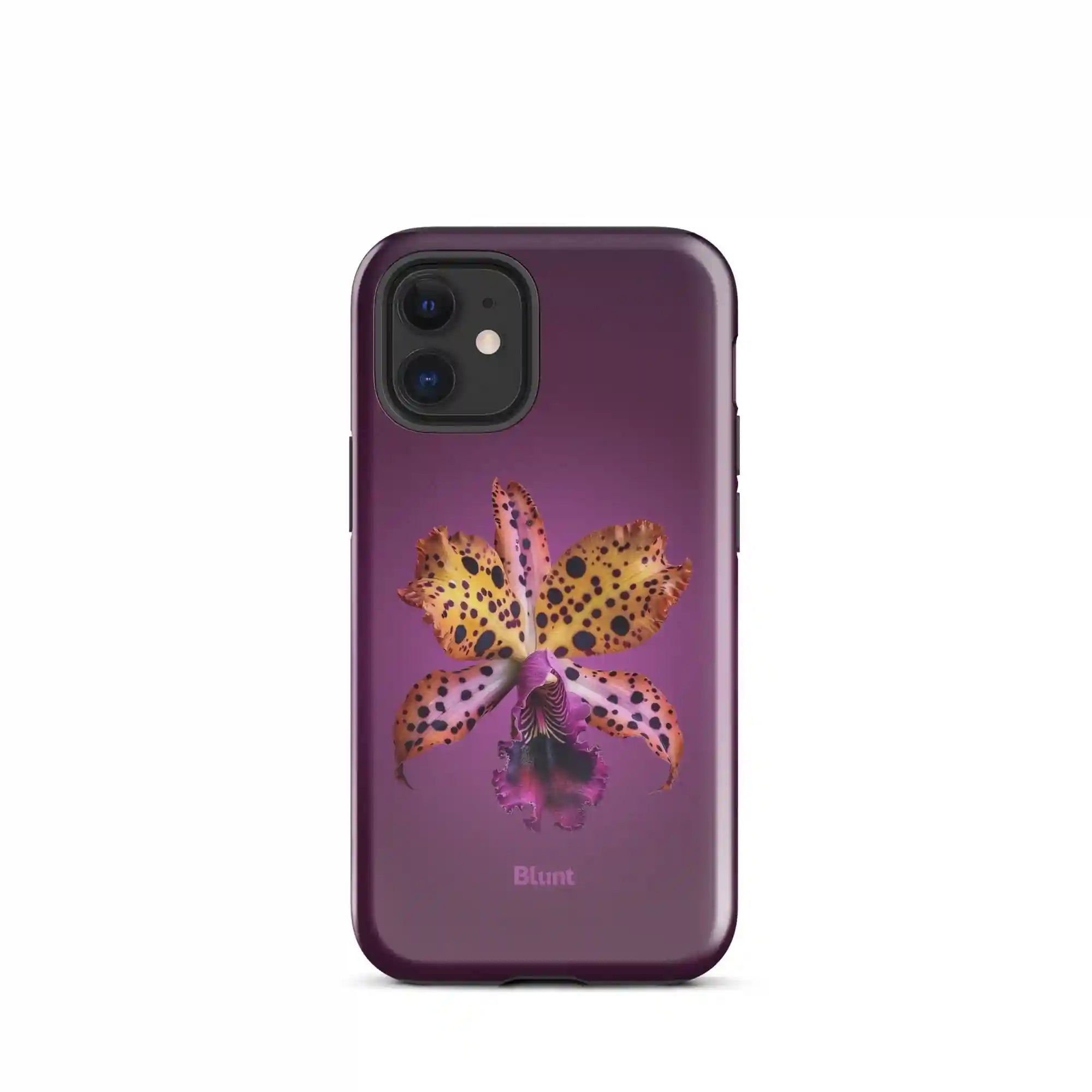 bluntcasesus.it.com