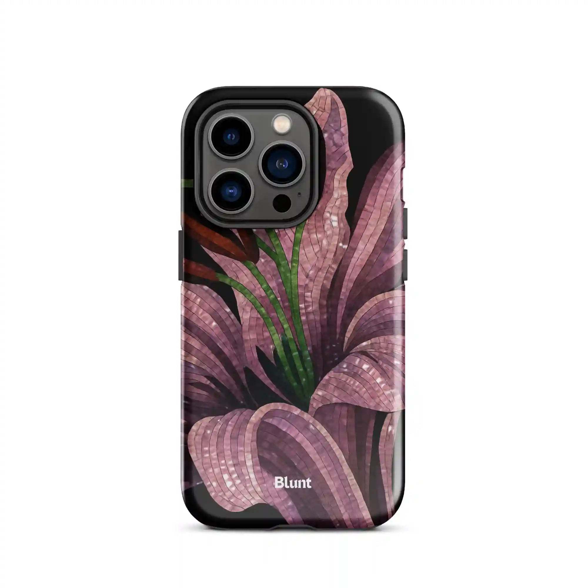bluntcasesus.it.com