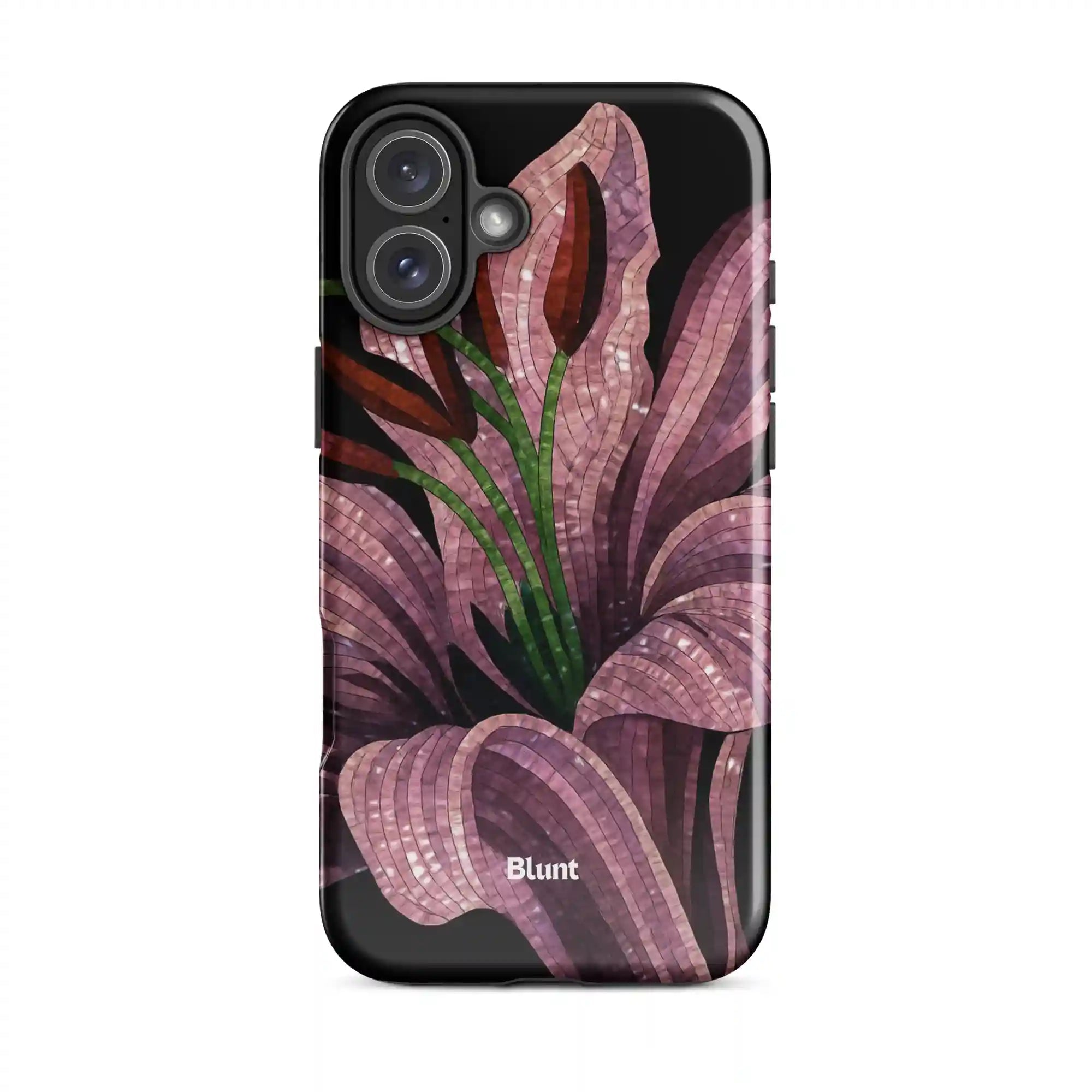 bluntcasesus.it.com