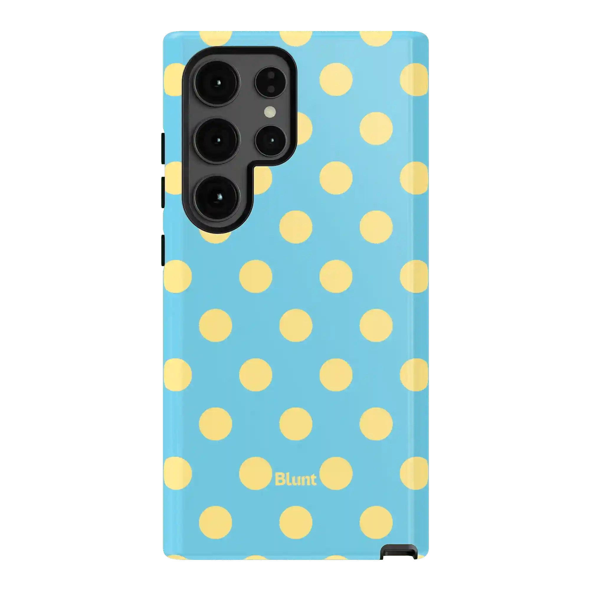 bluntcasesus.it.com