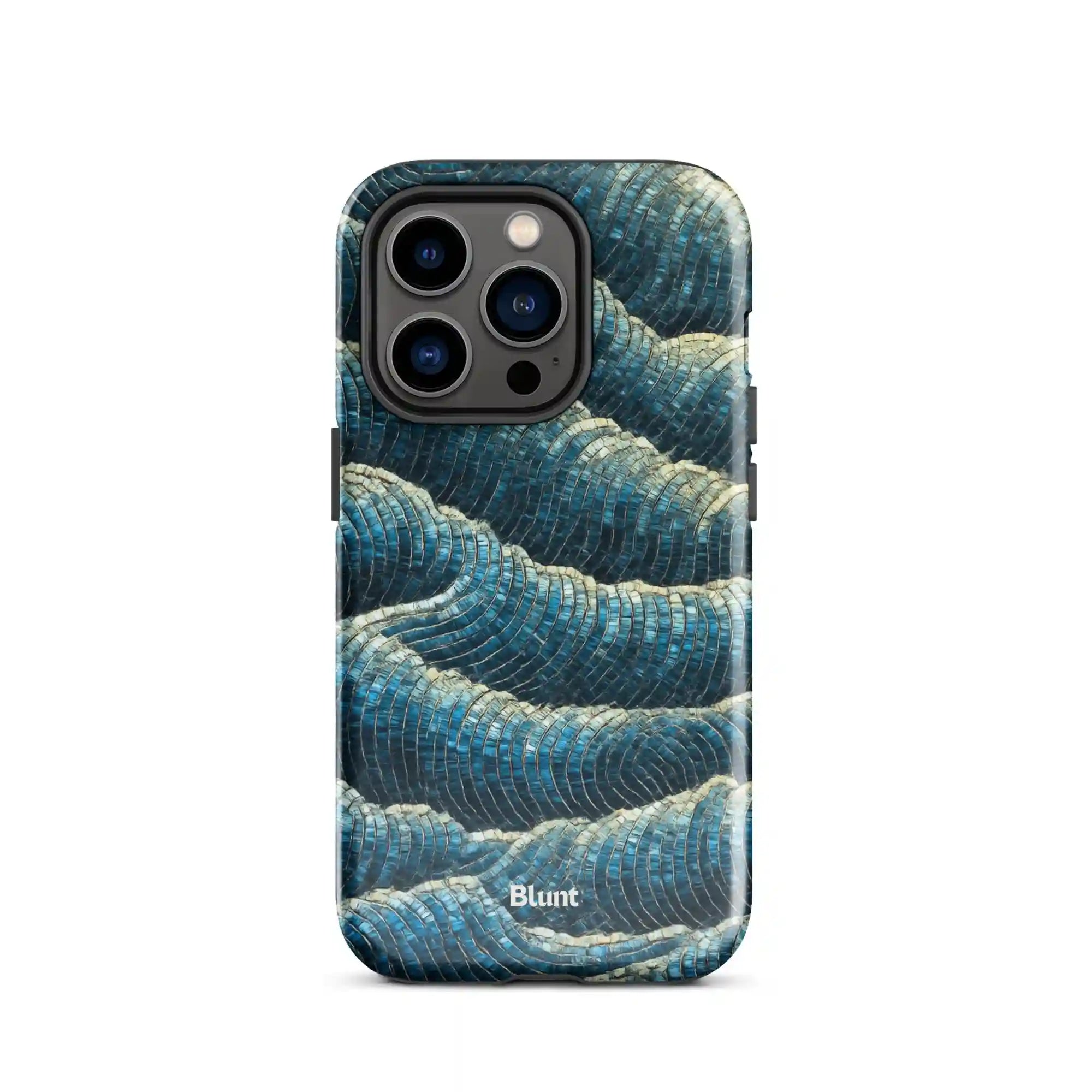 bluntcasesus.it.com