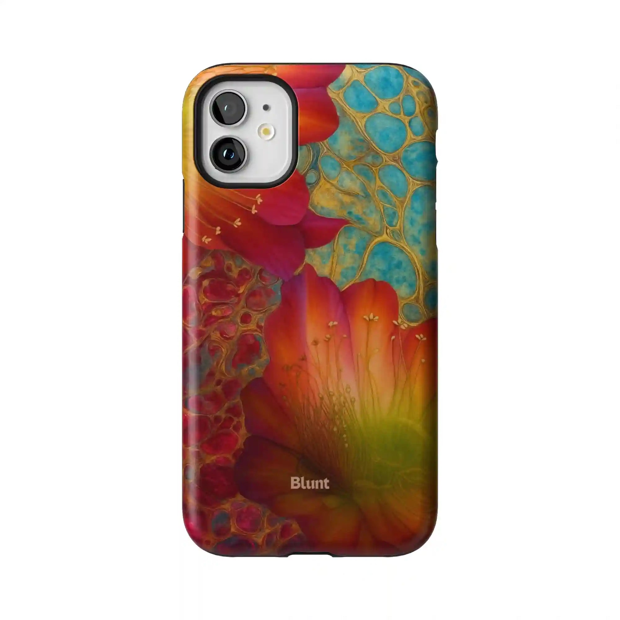bluntcasesus.it.com