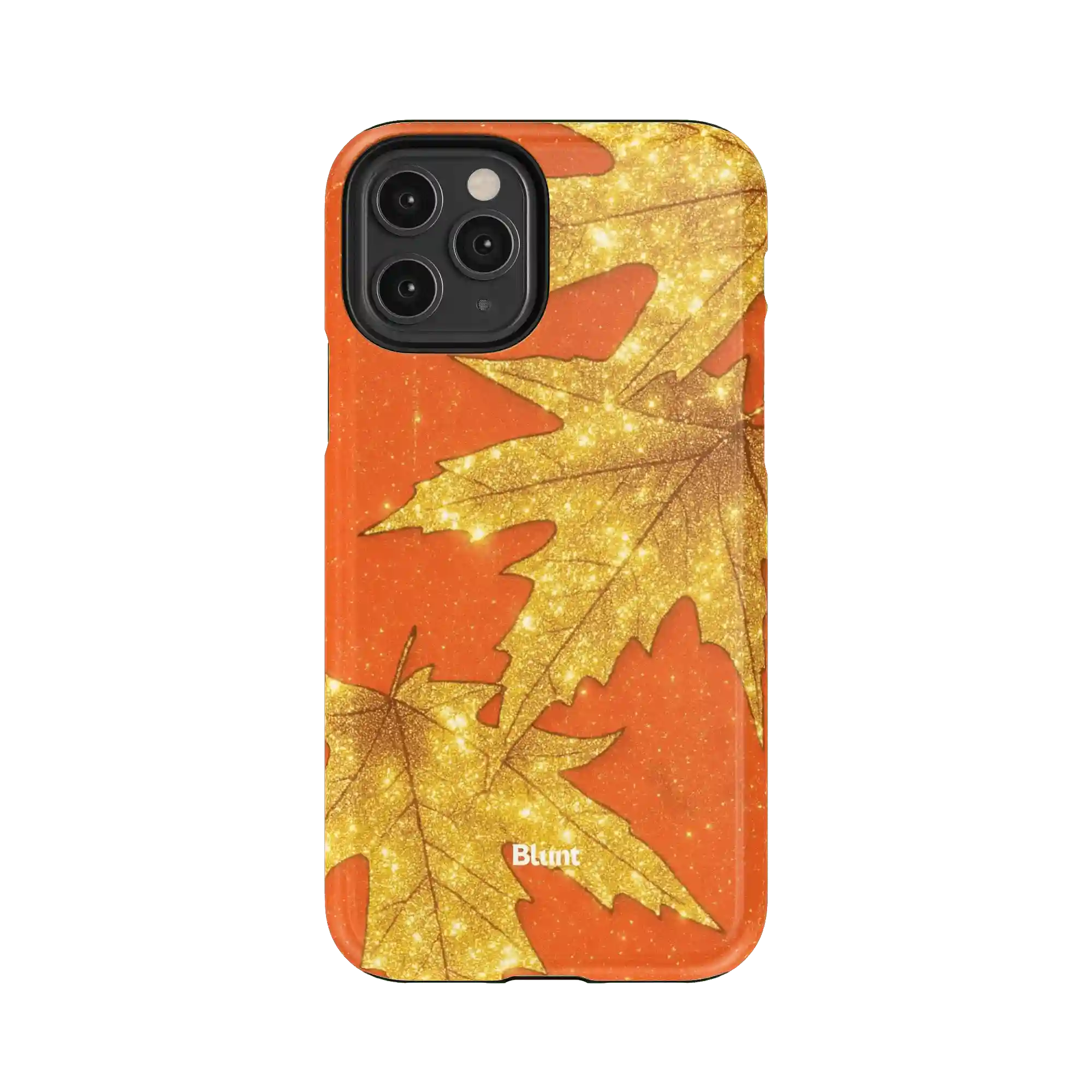 bluntcasesus.it.com