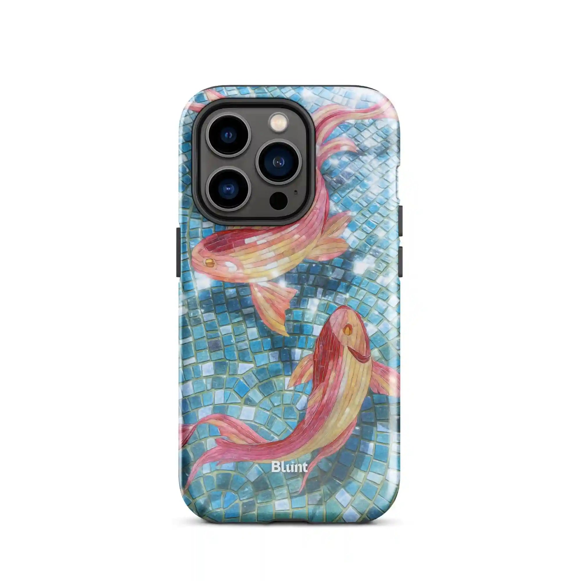 bluntcasesus.it.com