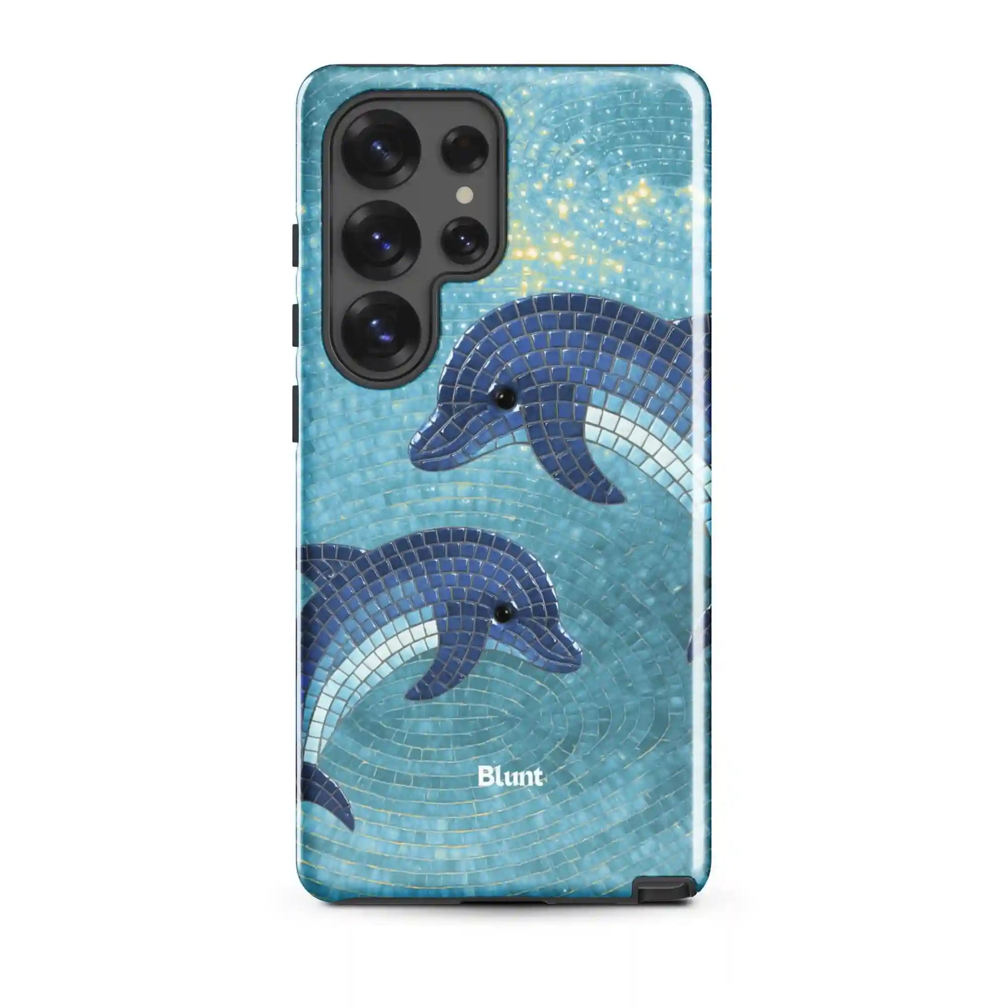 bluntcasesus.it.com