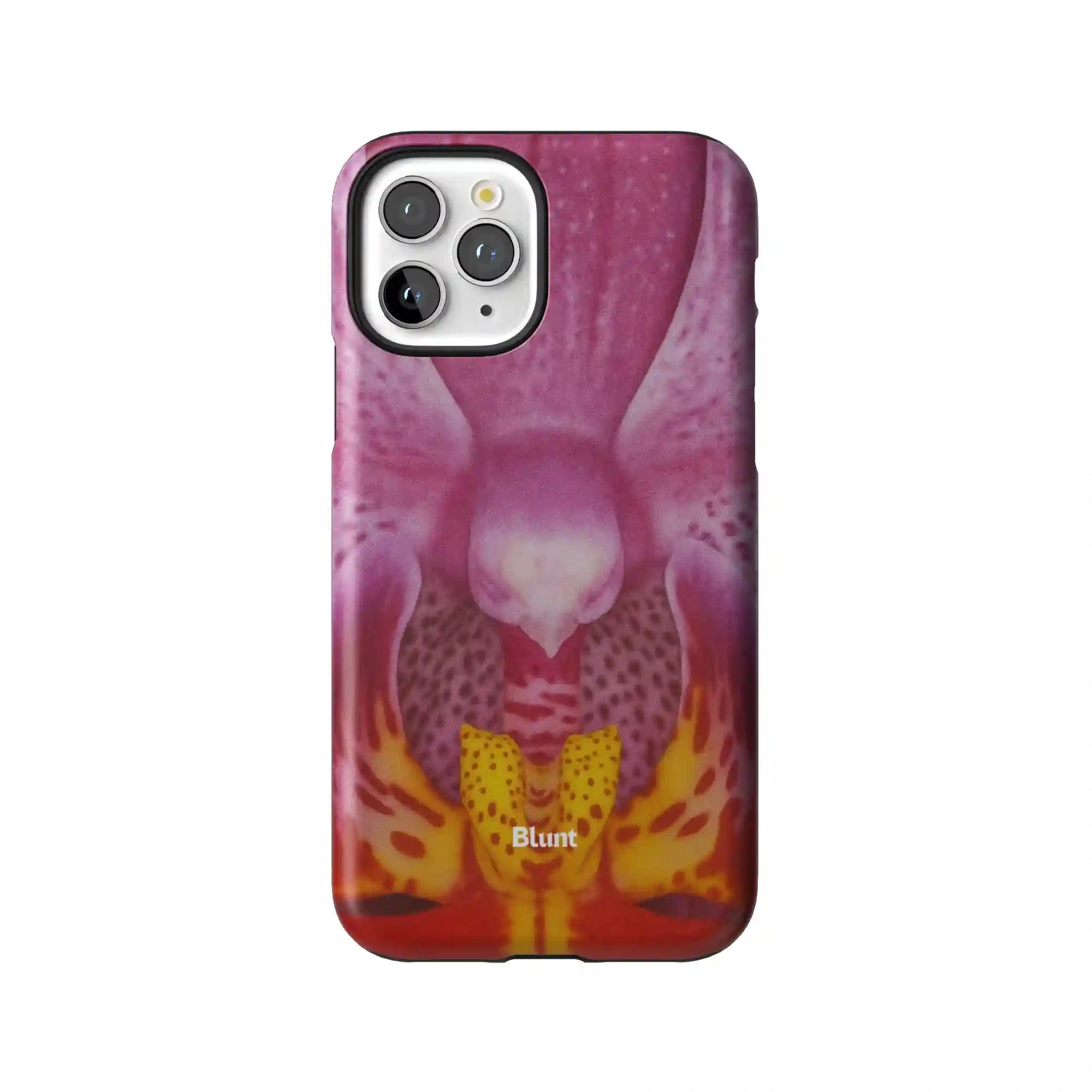 bluntcasesus.it.com