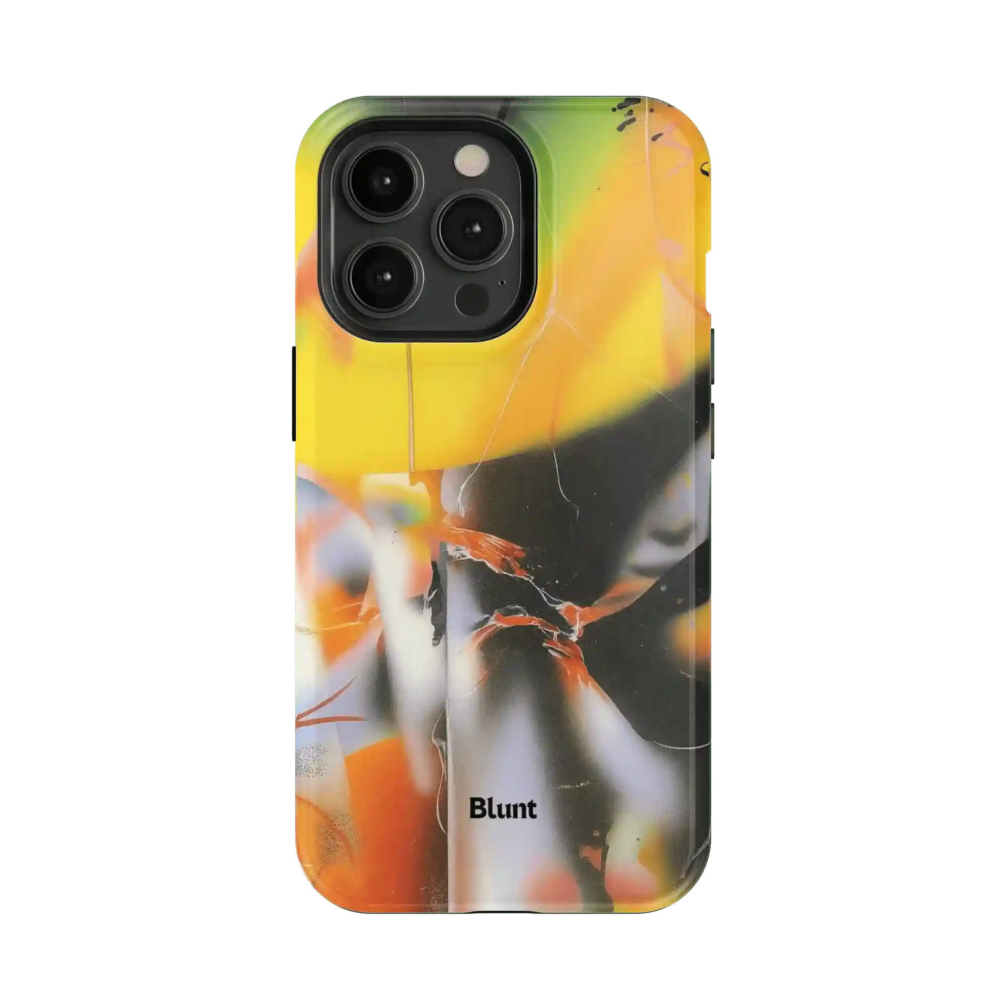 bluntcasesus.it.com