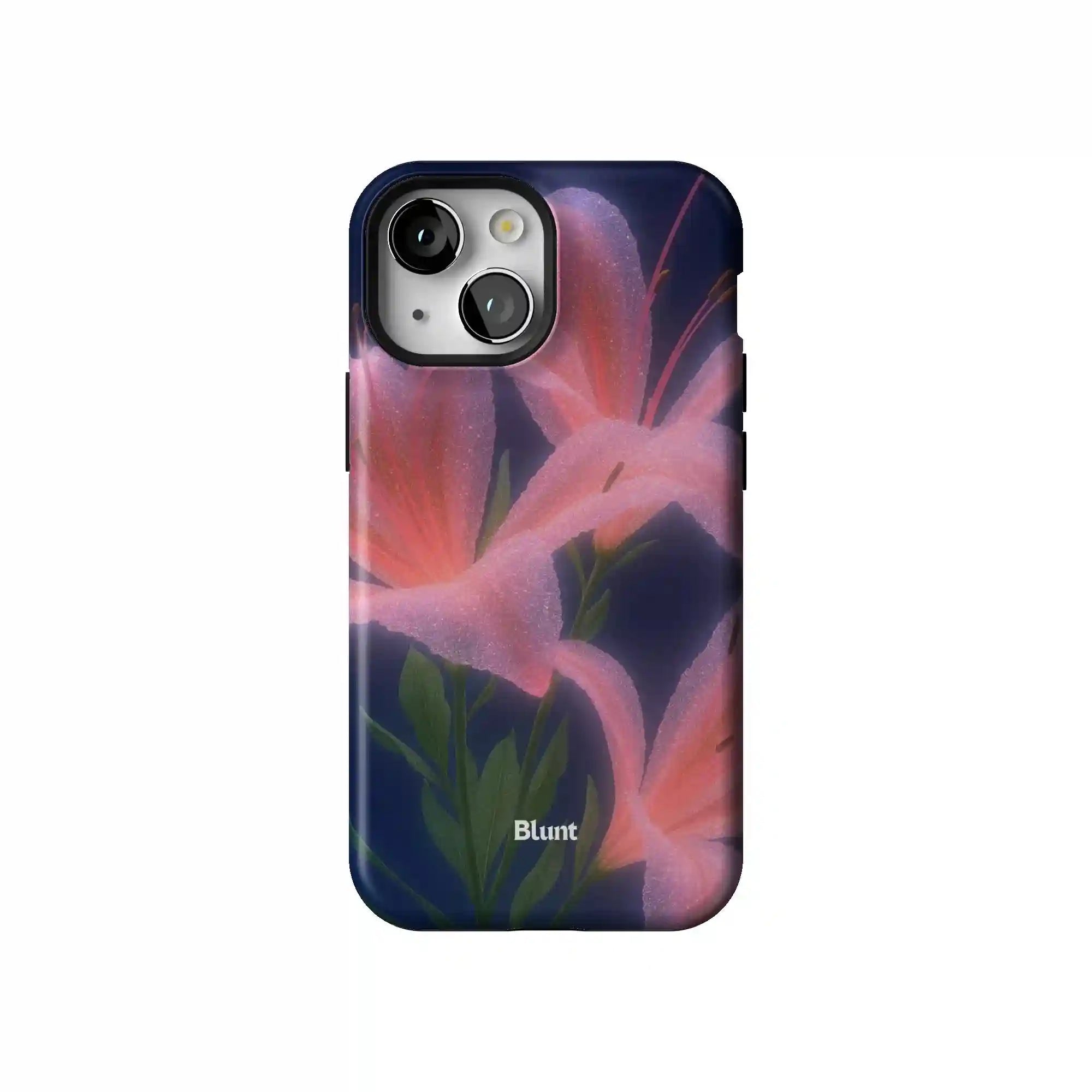 bluntcasesus.it.com