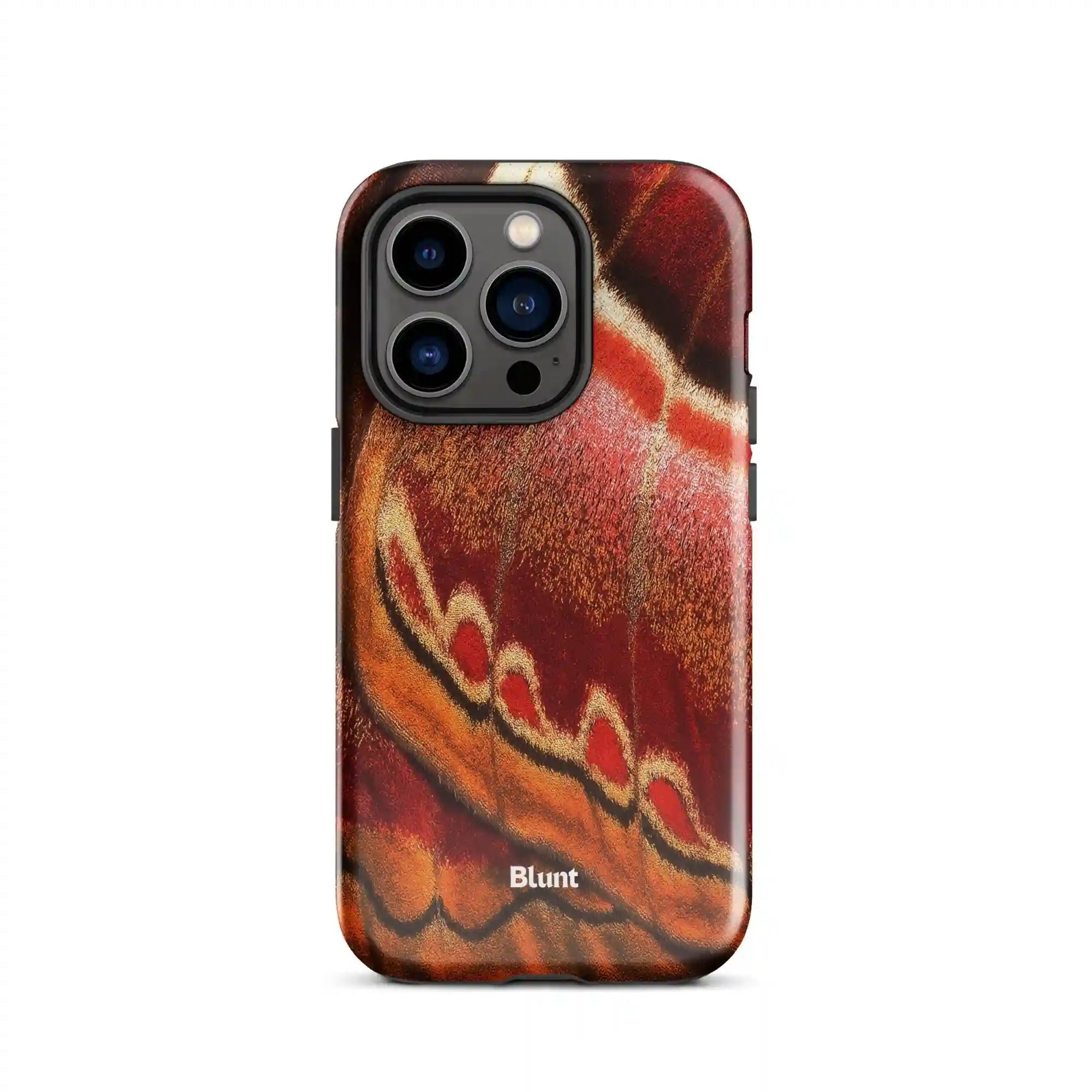 bluntcasesus.it.com