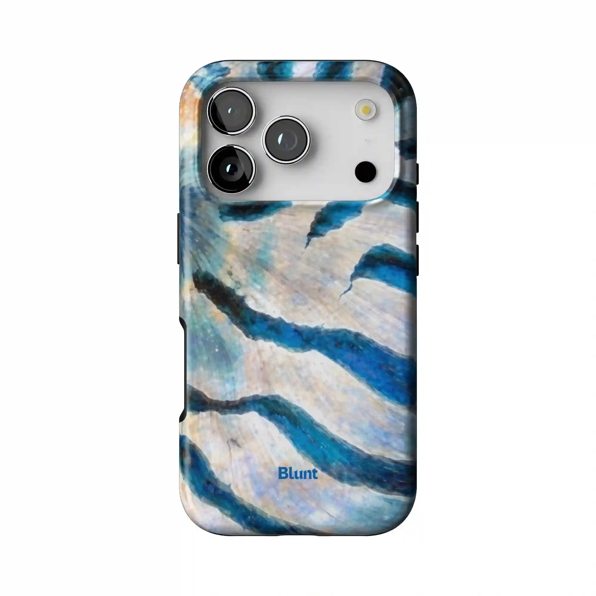 bluntcasesus.it.com