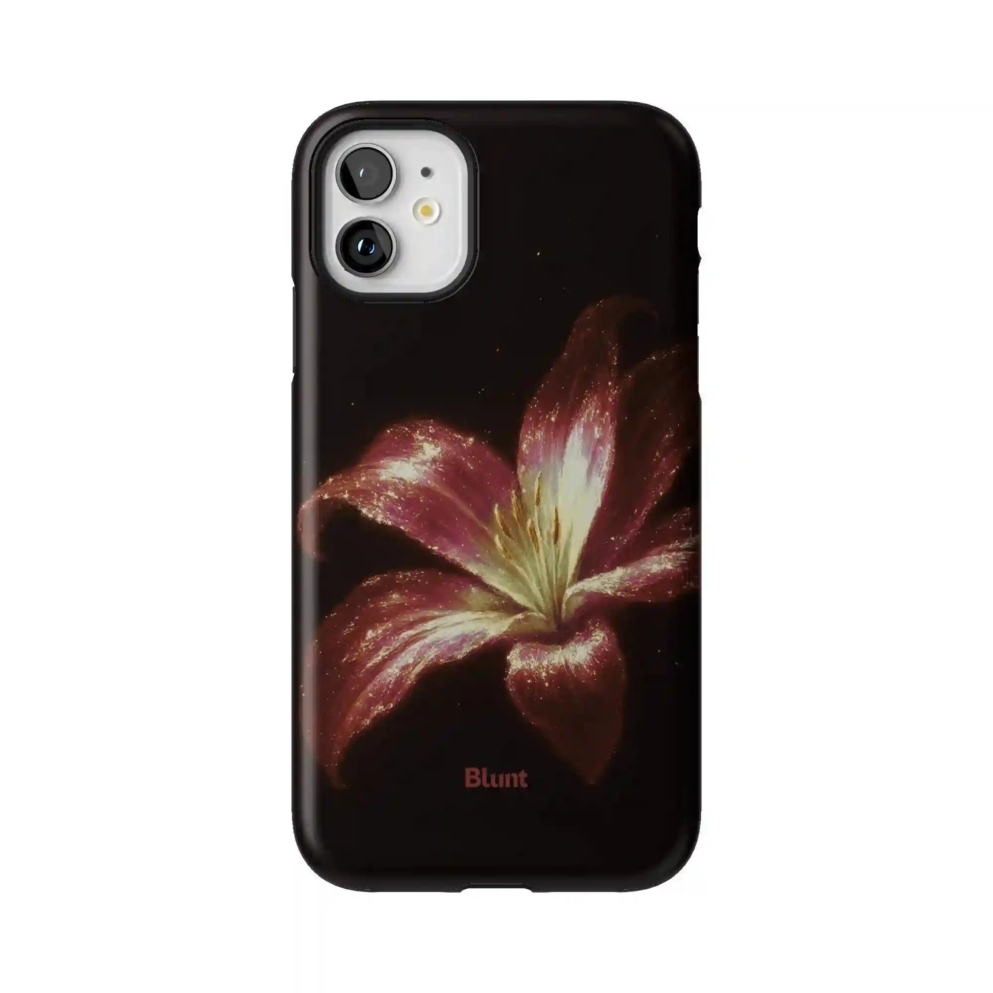 bluntcasesus.it.com