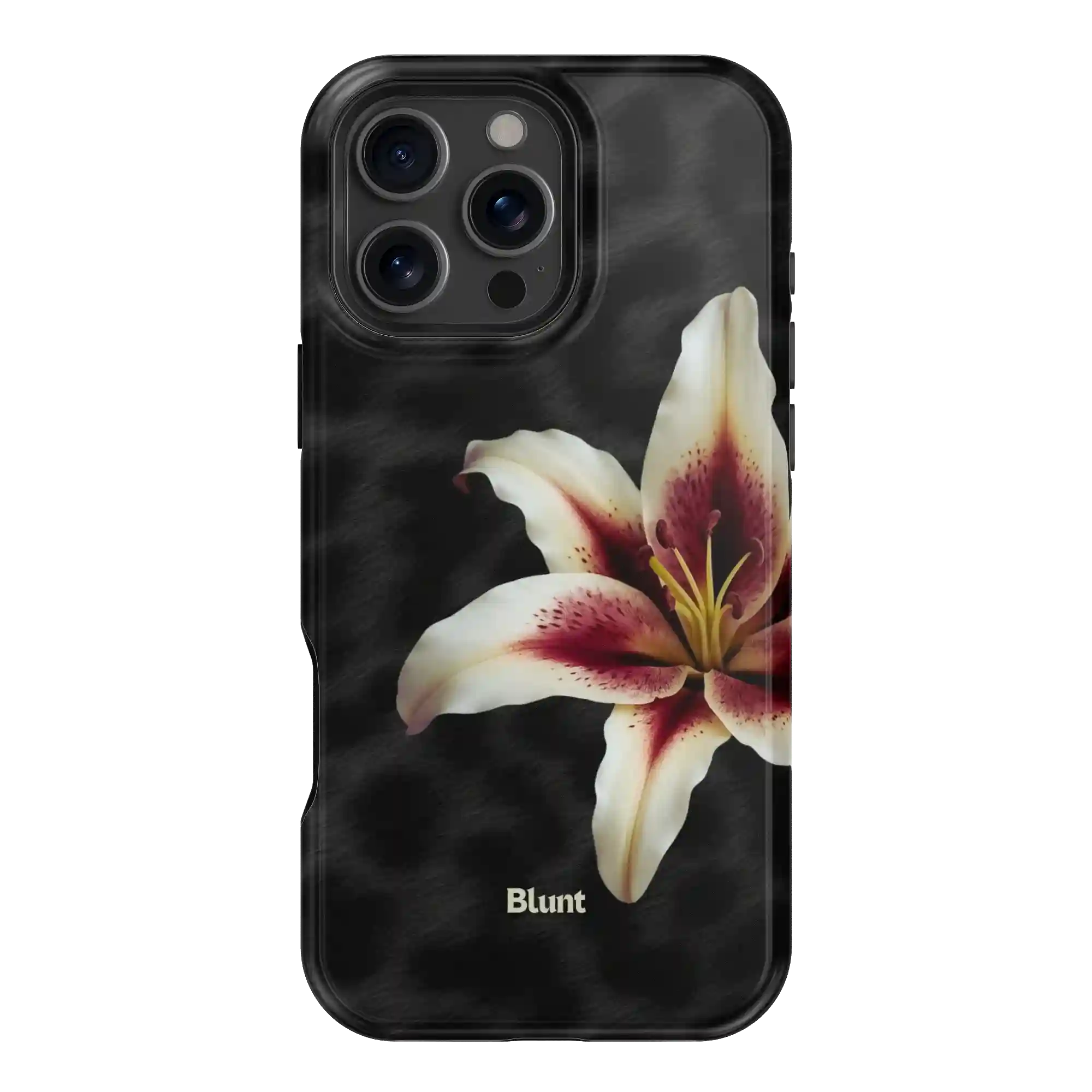 bluntcasesus.it.com